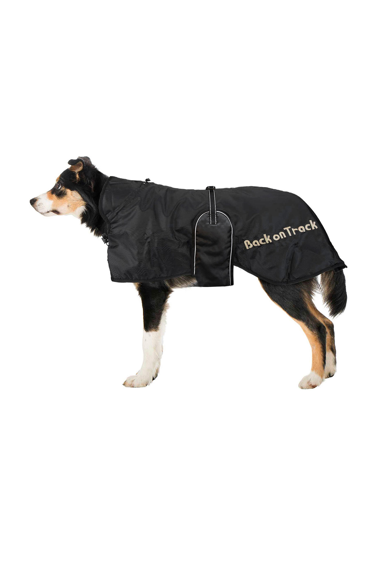 Back on Track Dog Rug 43-59