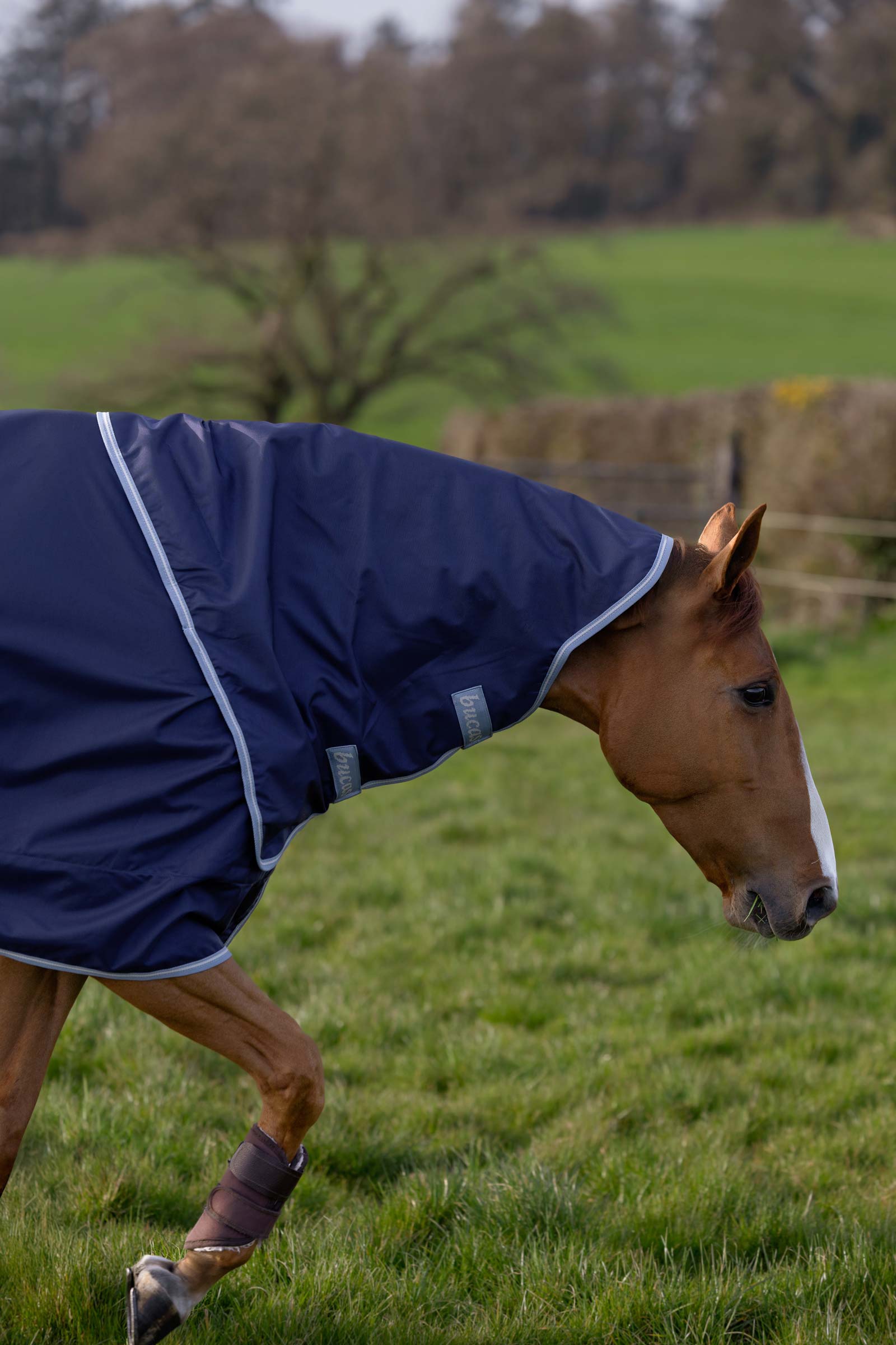 Bucas Atlantic Exclusive Rug & Neck Set, 0 g