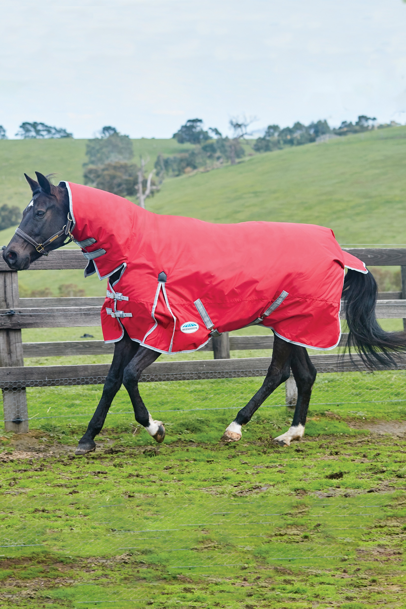 Weatherbeeta Comfitec Classic Combo Neck Lite Plus