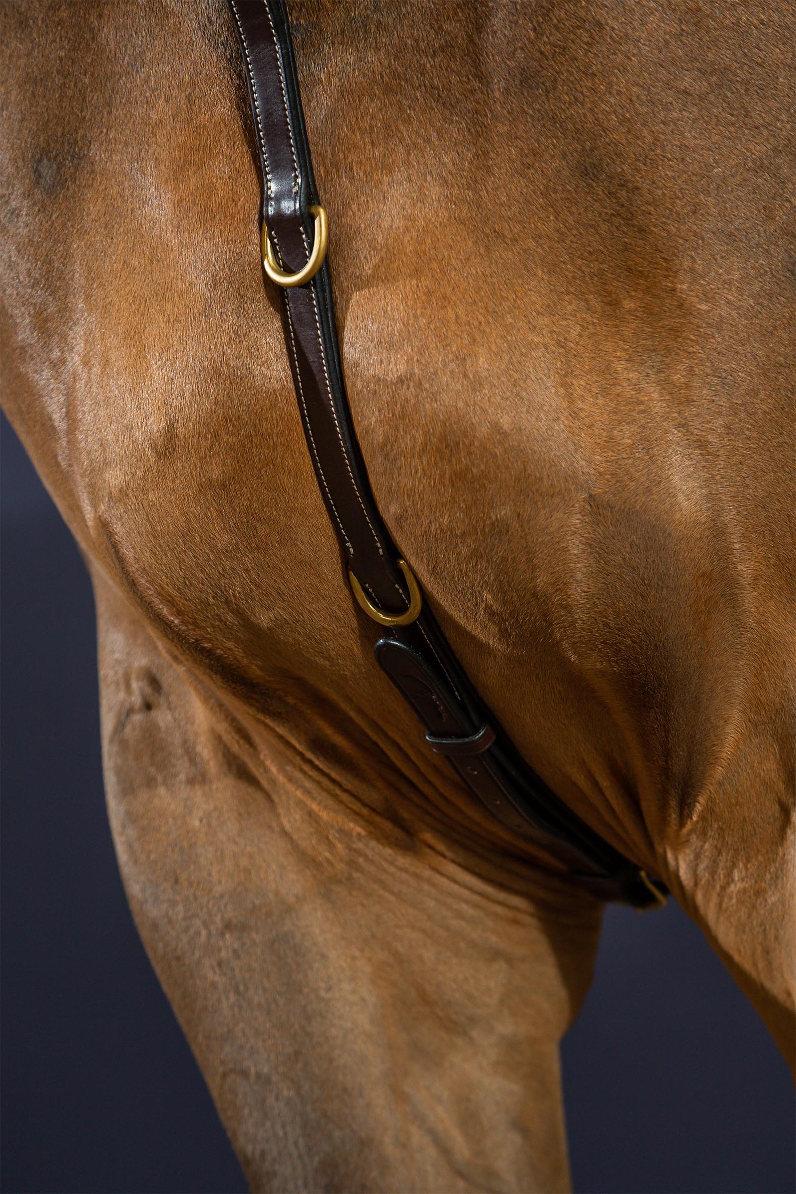 Dy'on D Collection Bridge Breastplate 