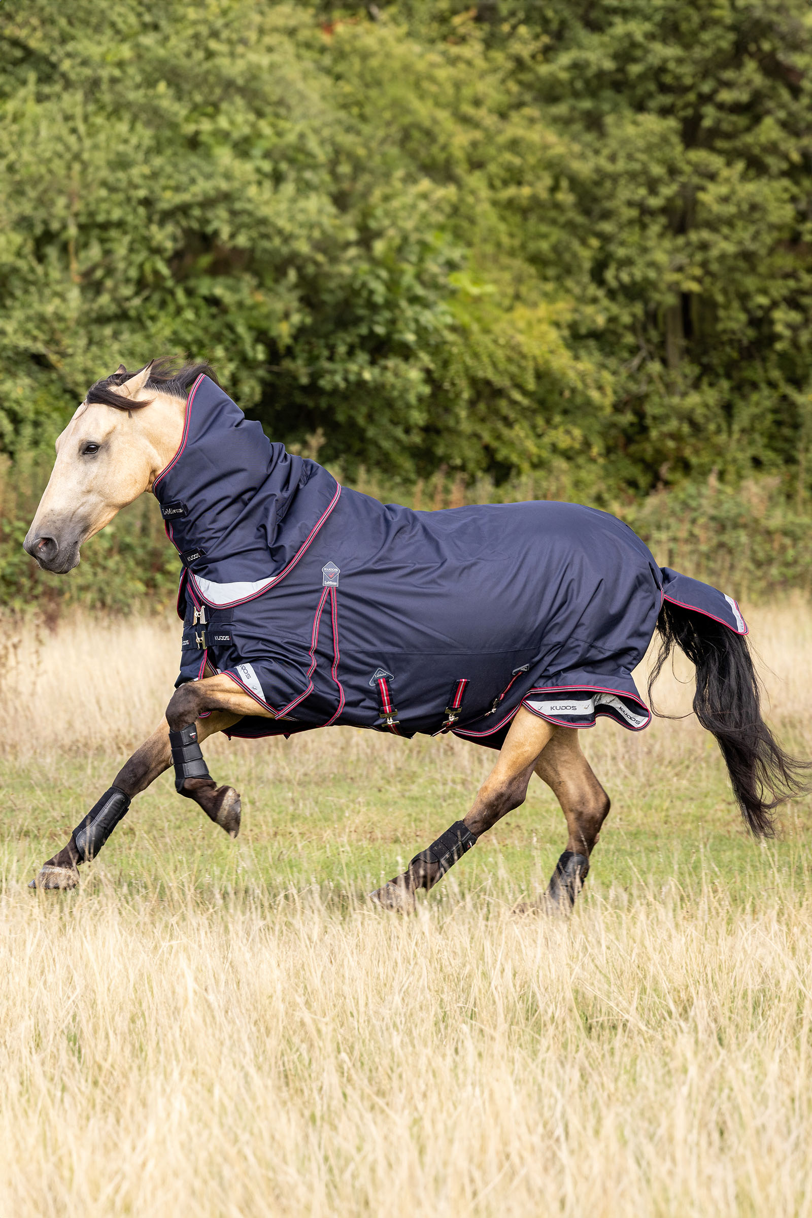 LeMieux Kudos Lightweight Turnout Rug 100g