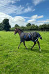 Horseware Amigo Ripstop 900D Foal Turnout 50g
