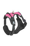 Weatherbeeta Anti Pull/Travel Harness L