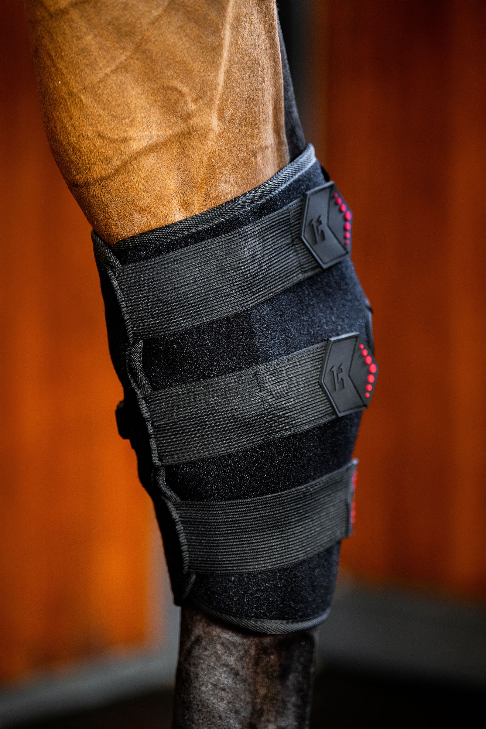 Horseware LED Red Light Therapy Hock Boot (1 pc.)