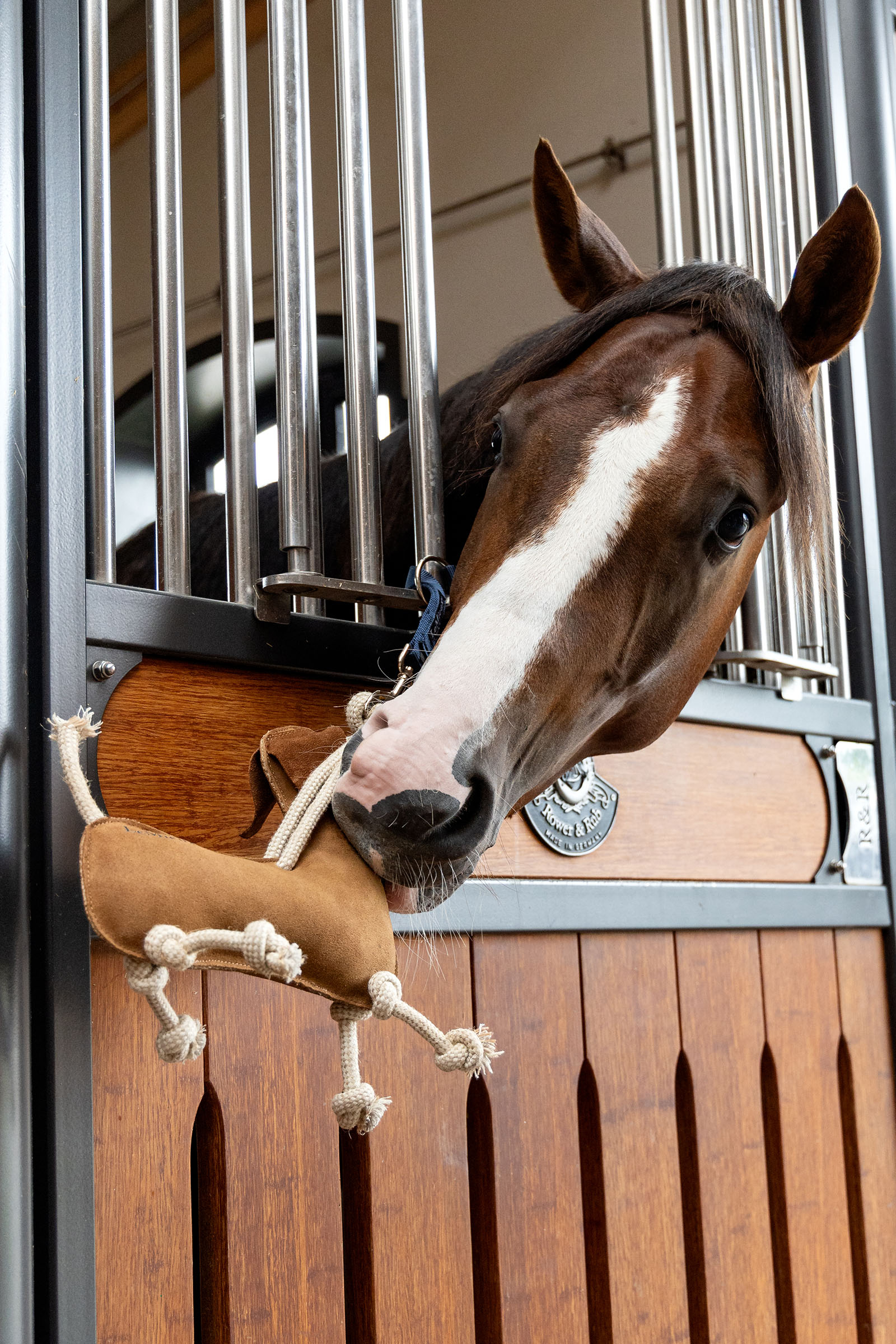 LeMieux Horse Toy Sausage Dog
