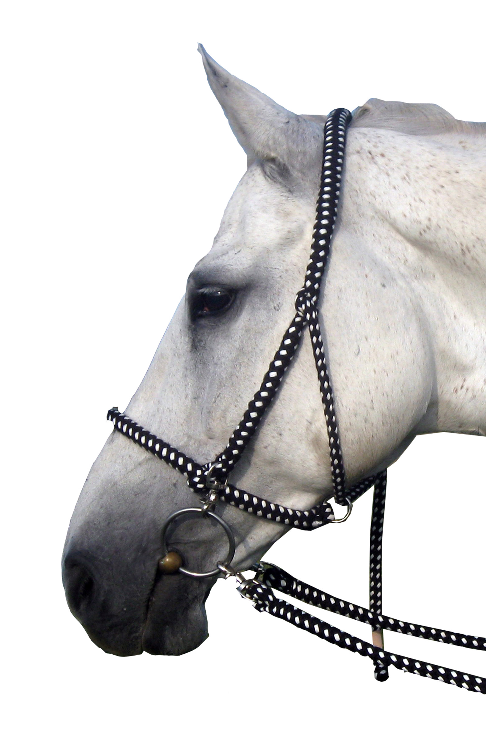 F.R.A. Freedom Riding Articles Gregor Halter-bridle Cotton Reins Included