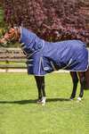Weatherbeeta Comfitec Essential Detach-a-Neck Medium Turnout Rug, 220g