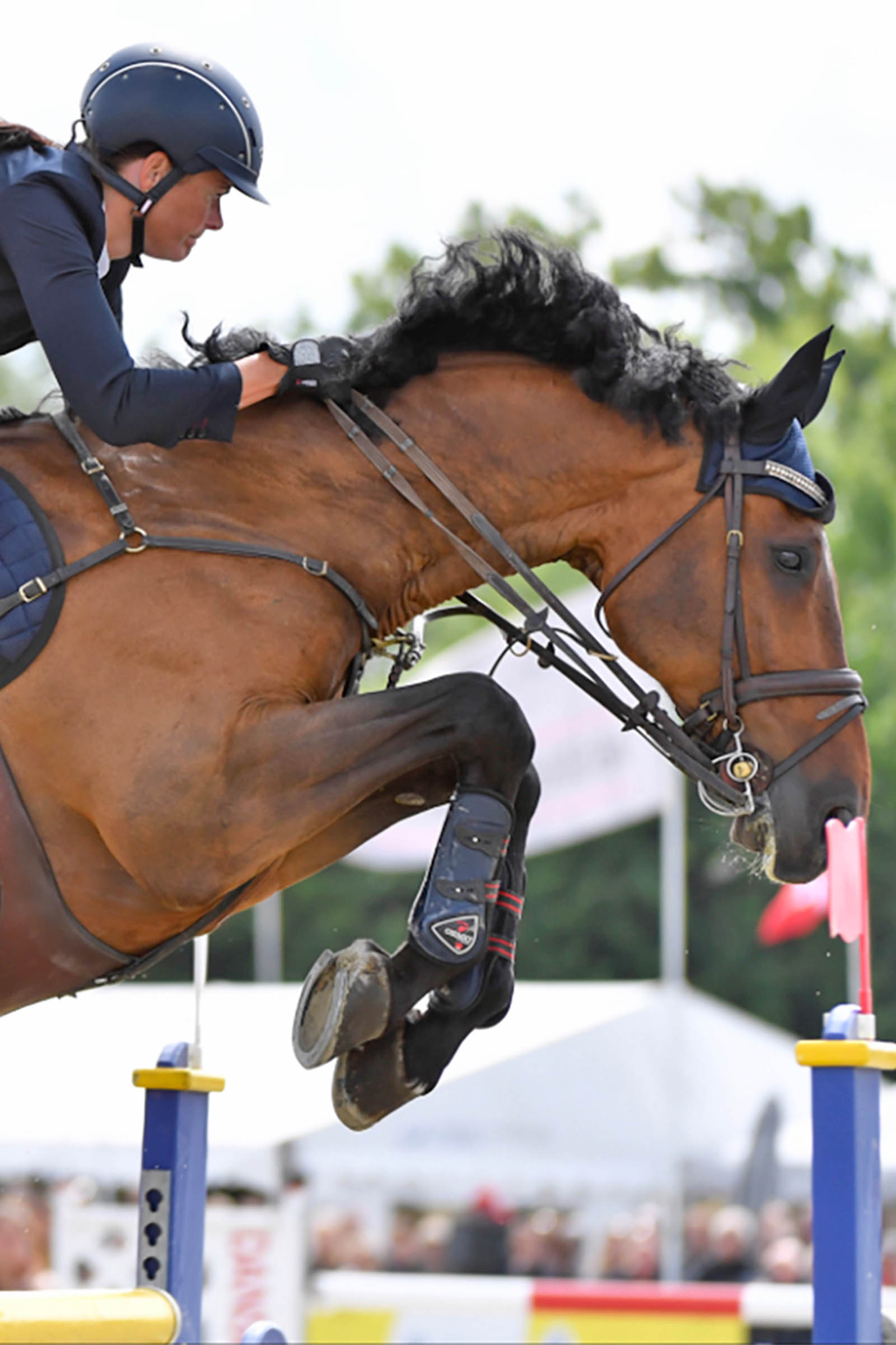 Catago FIR-Tech Tendon Boots