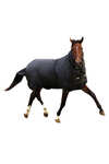 Horseware Trot Plus Turnout Rug With Detachable Neck, 350g