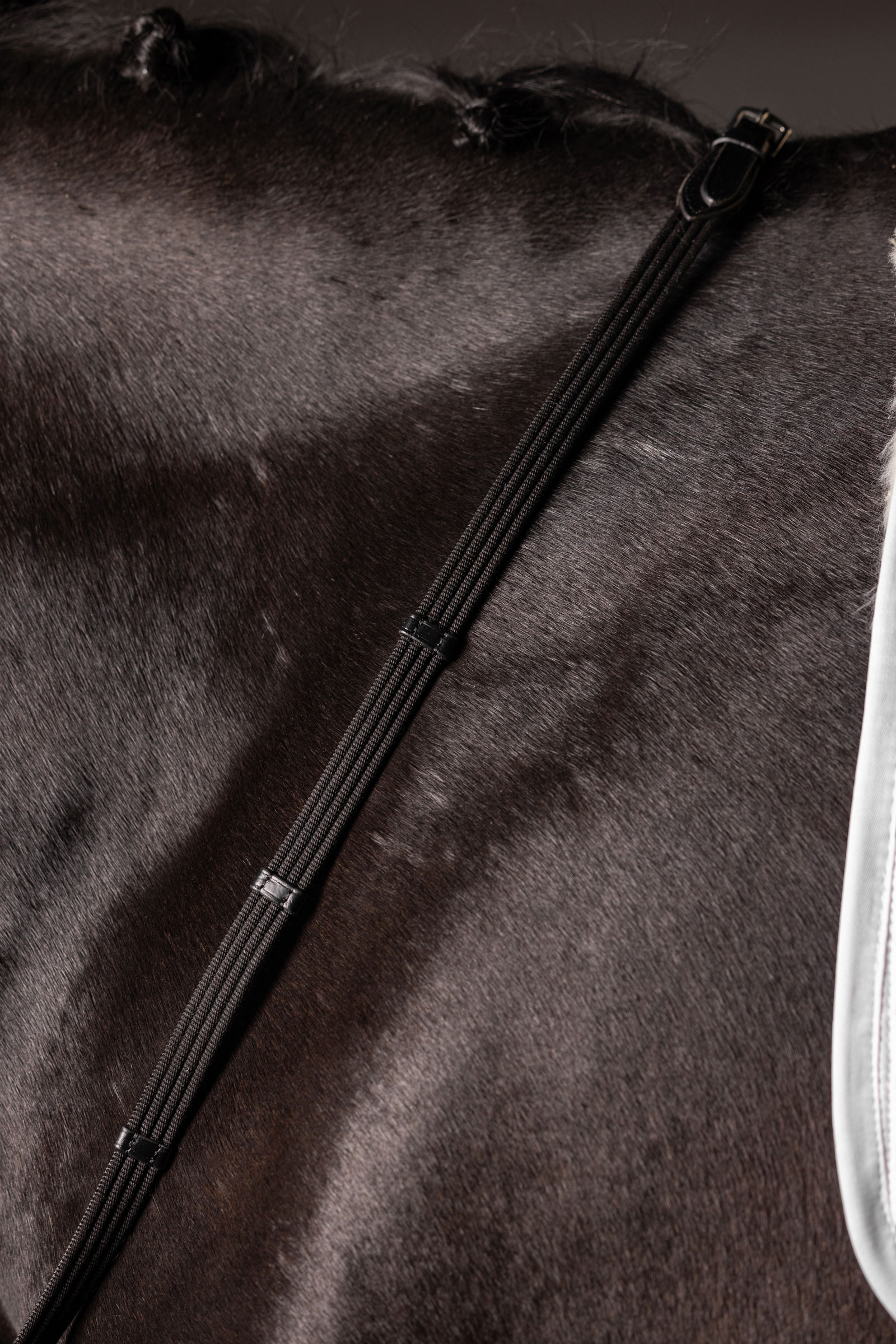 LeMieux Continental Webbed Reins