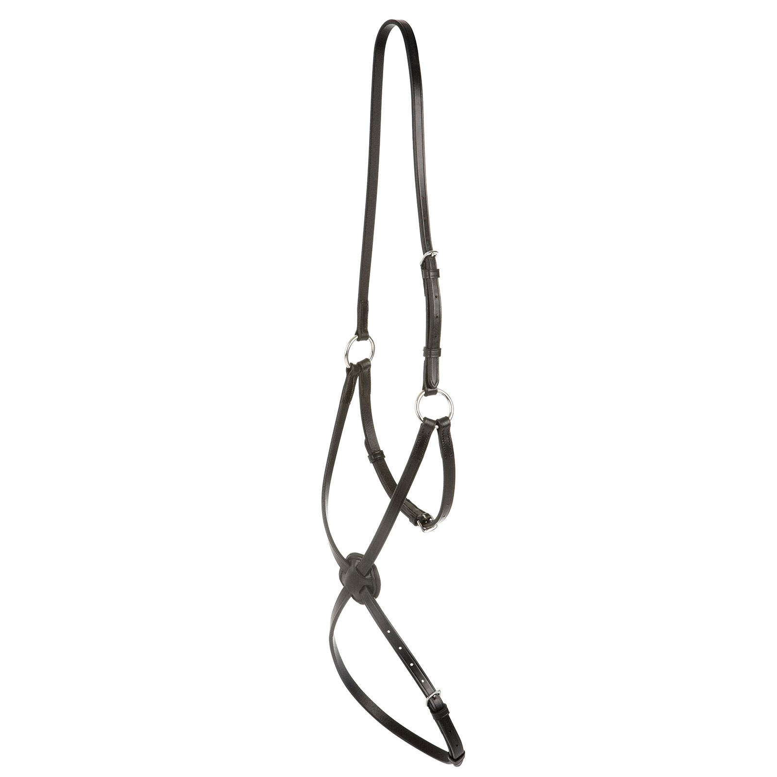 Collegiate Grackle Noseband IV