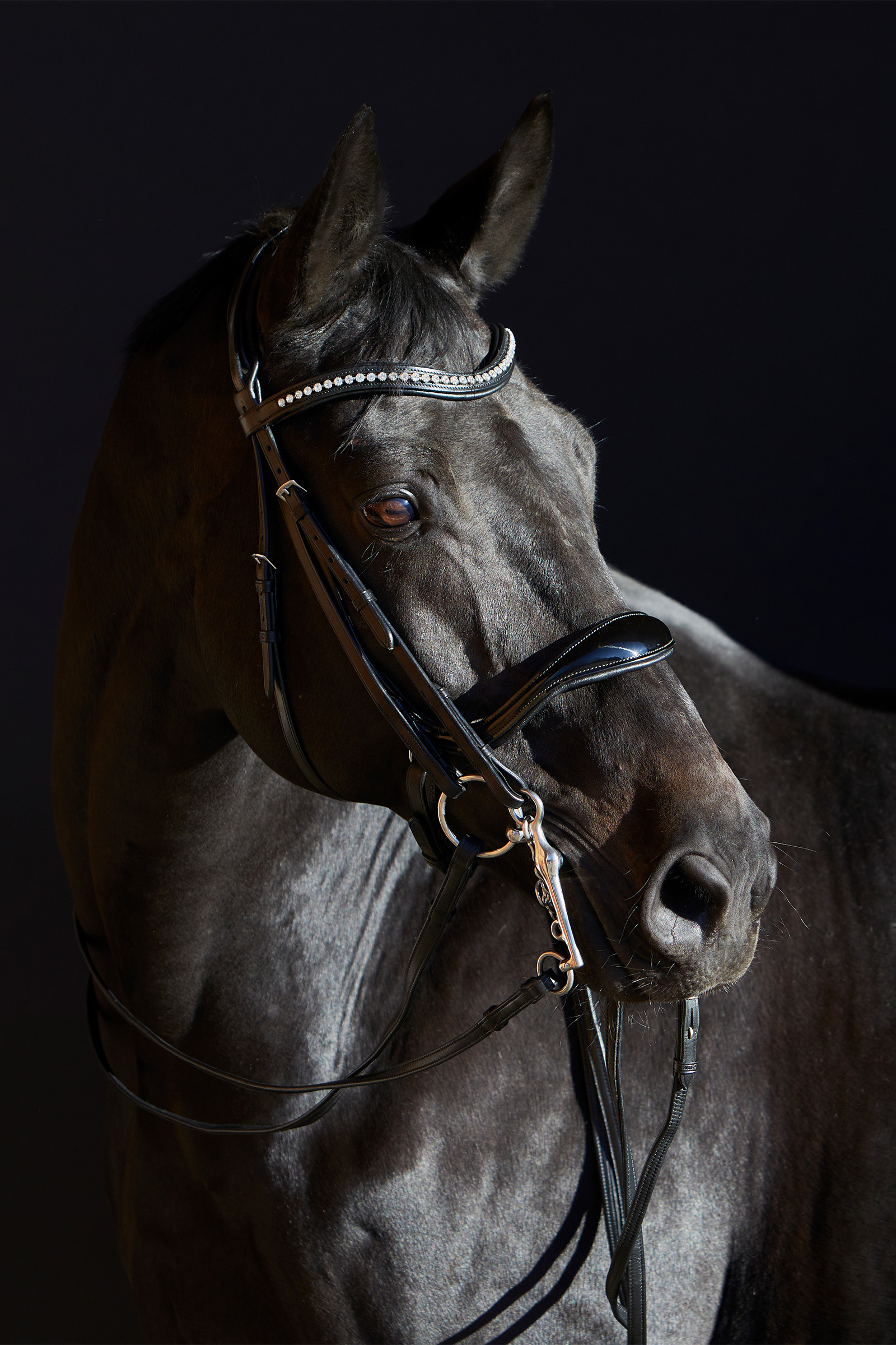 Kieffer Ultrasoft&reg; Amy Double Bridle