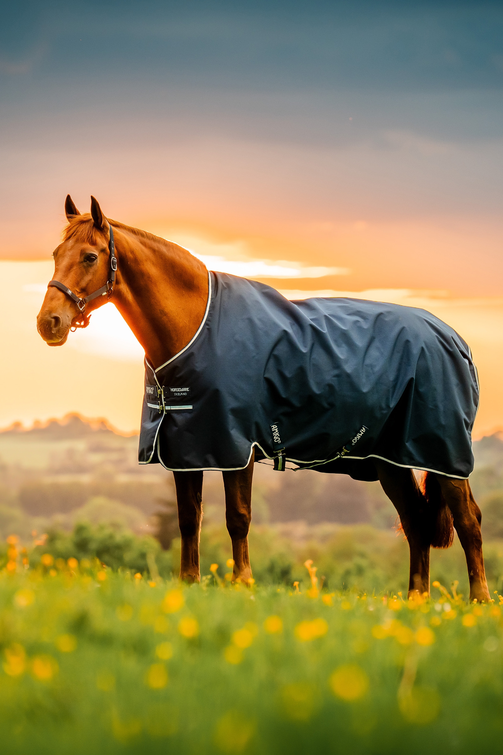 Horseware Amigo Ripstop 900D Fleece Lined Turnout Rug, 50 g