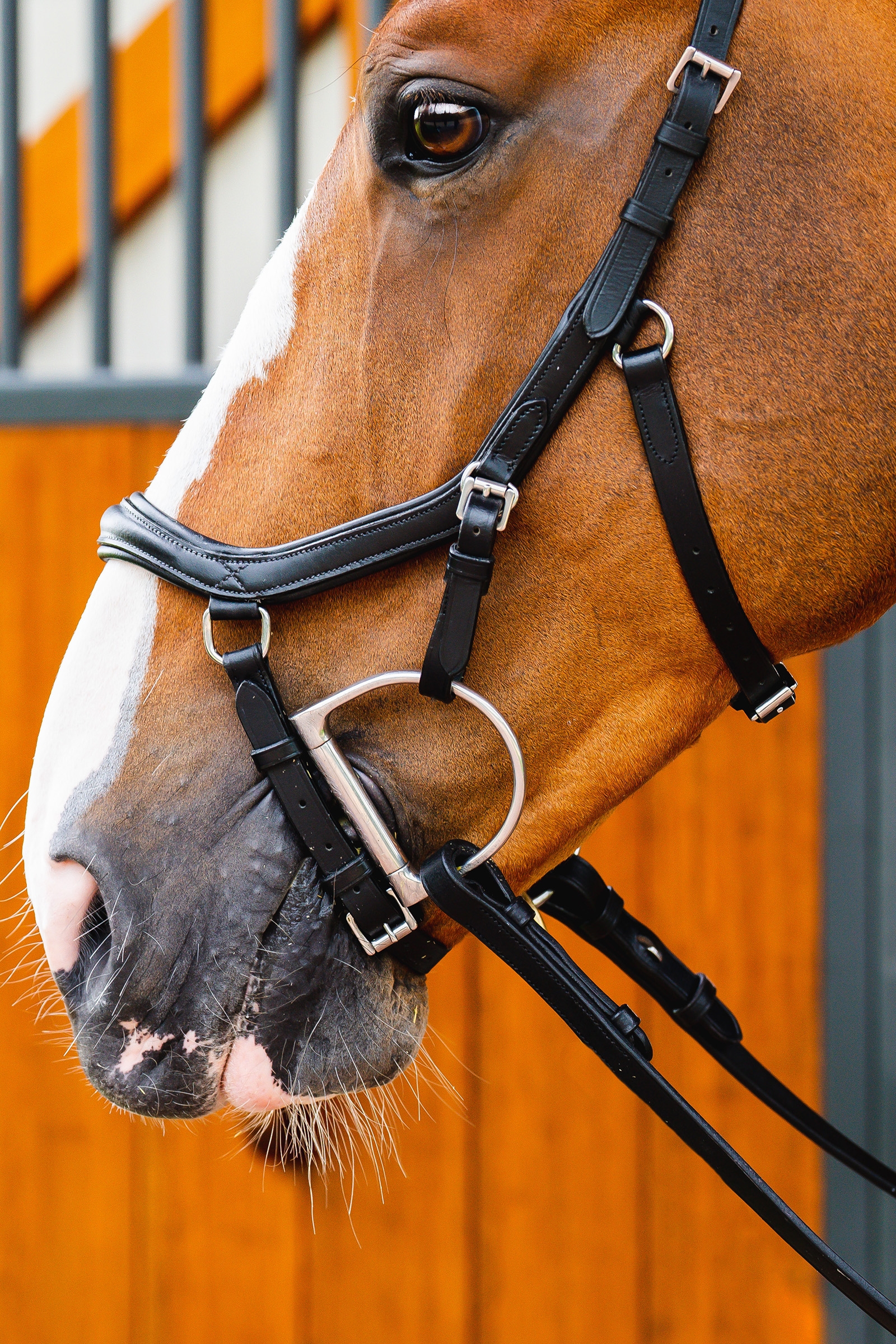 Horseware Micklem 2 Deluxe Competition Bridle