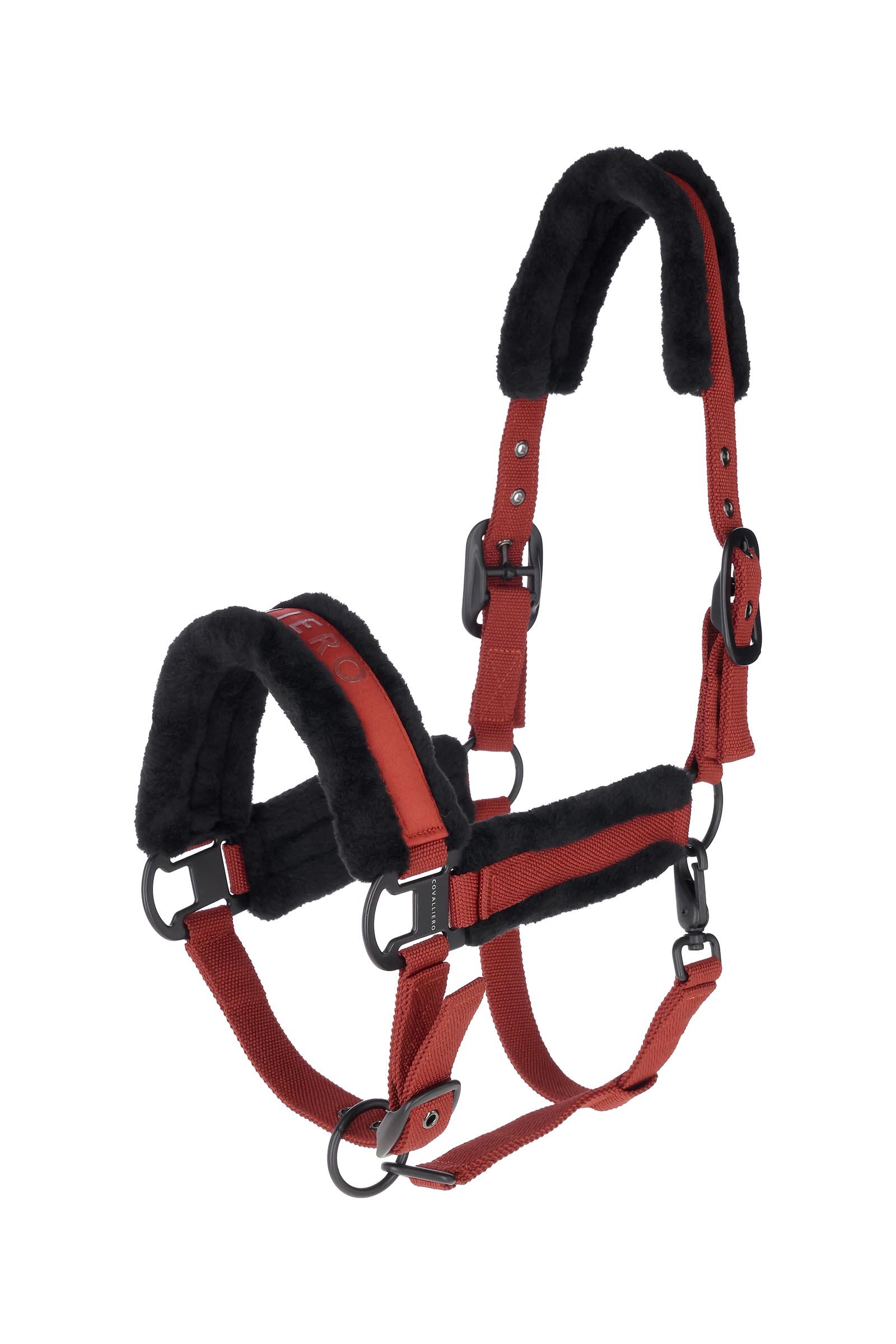 Rust Covalliero Padded Halter