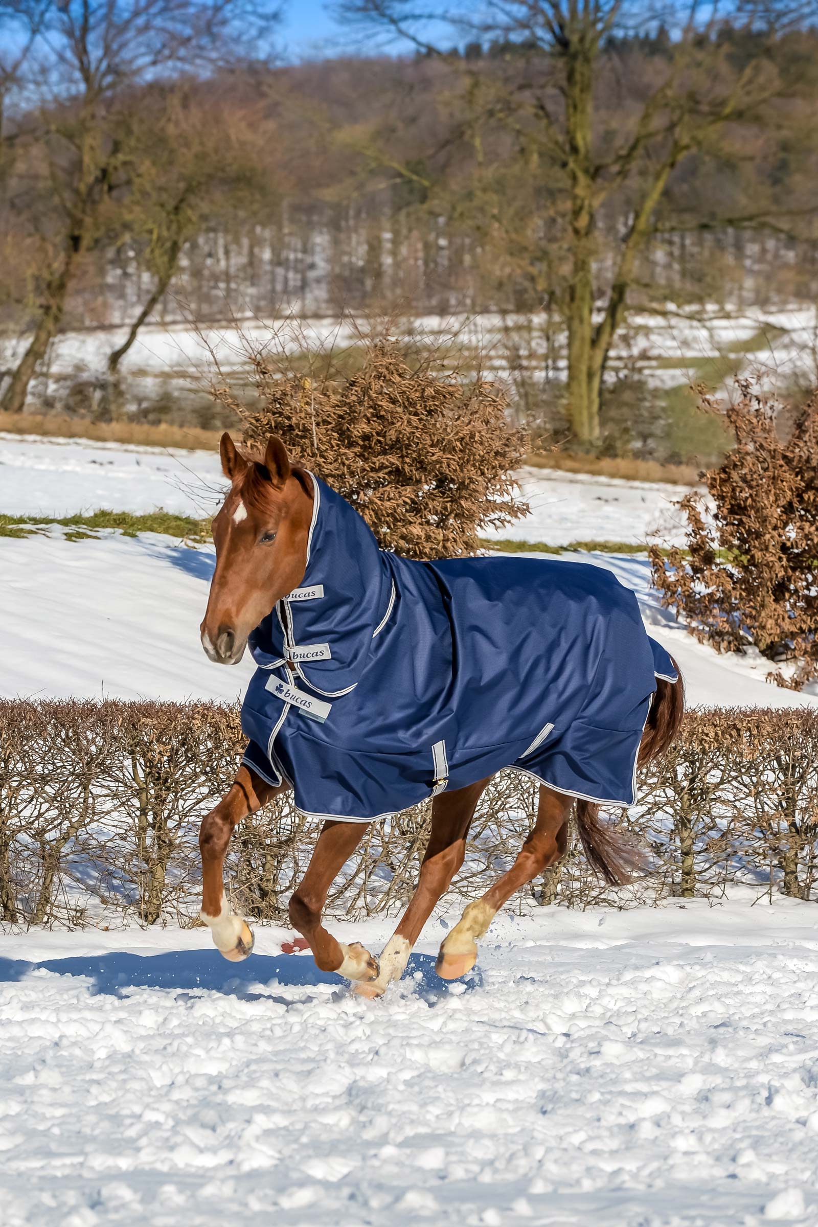 Bucas Freedom Turnout Rug with fixed Full Neck (150g / 150g)