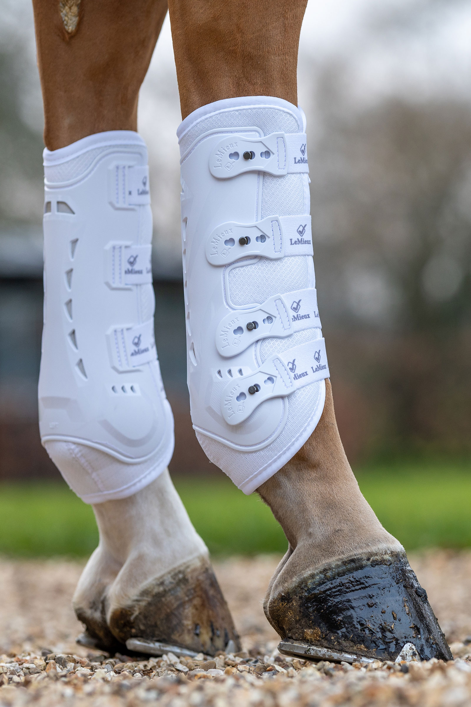 LeMieux Ultra Mesh Snug Boots, Hind