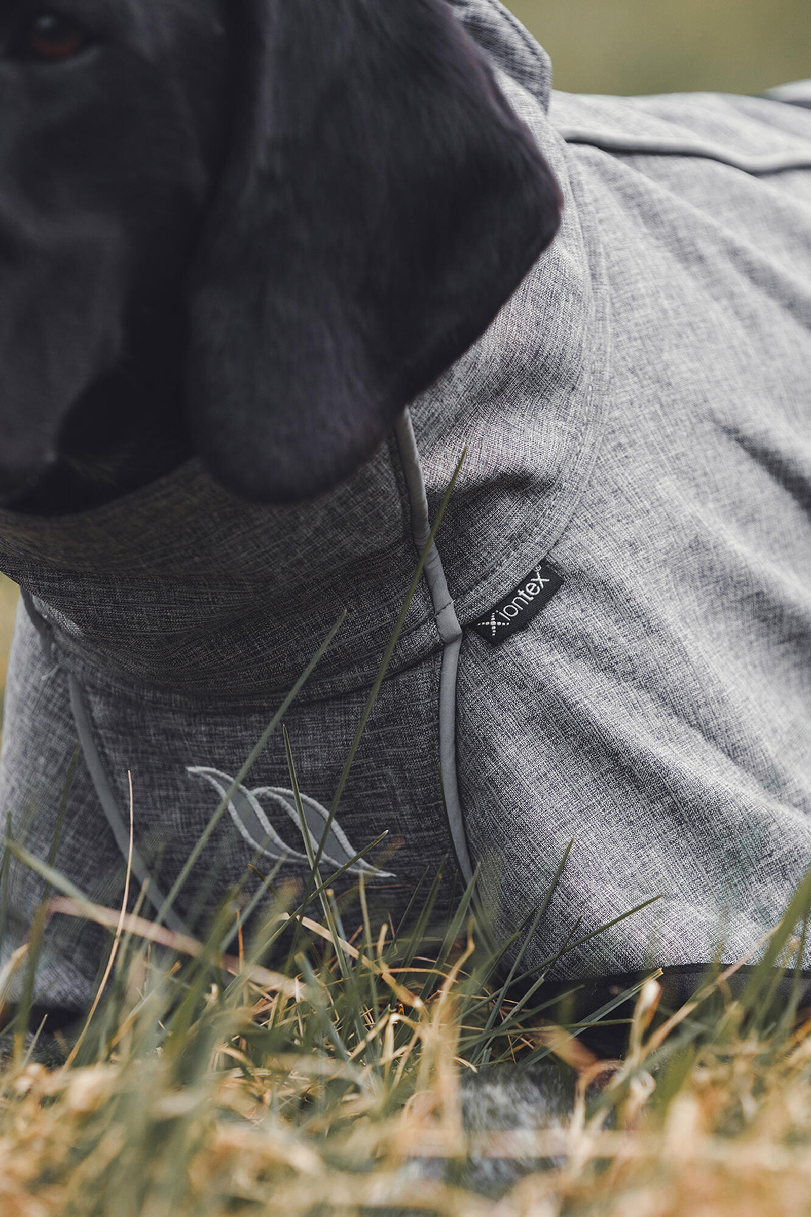 Back on Track Bark All-Round Dog Coat, 40-50cm