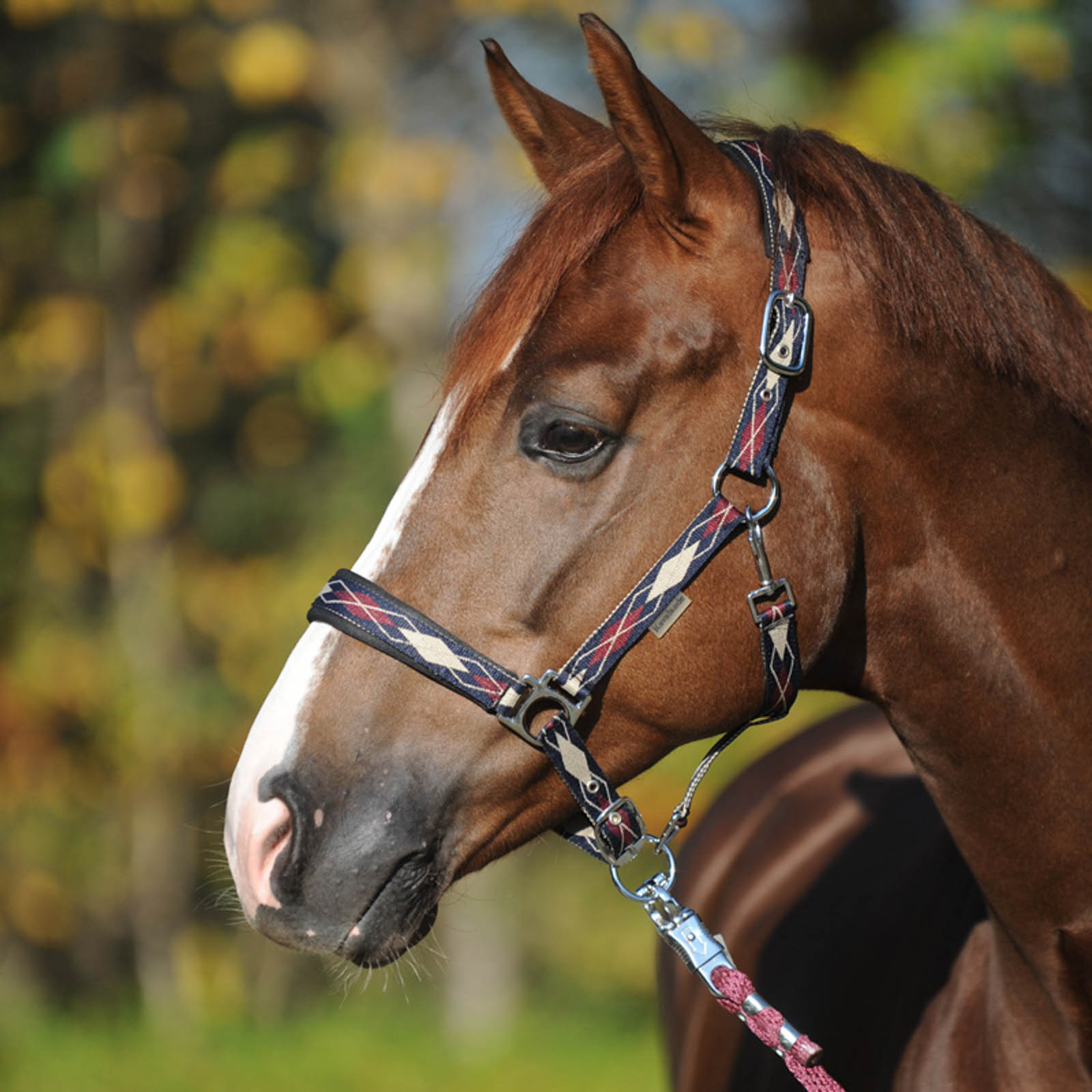 Kavalkade Classic Raute Halter