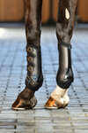 Weatherbeeta Tough-Tec Hard Shell Dressage Boots