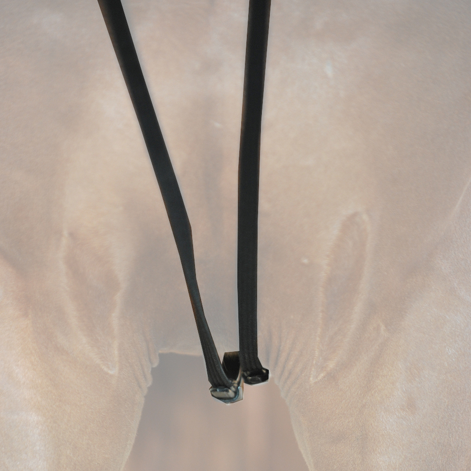 Kavalkade Webbed draw reins