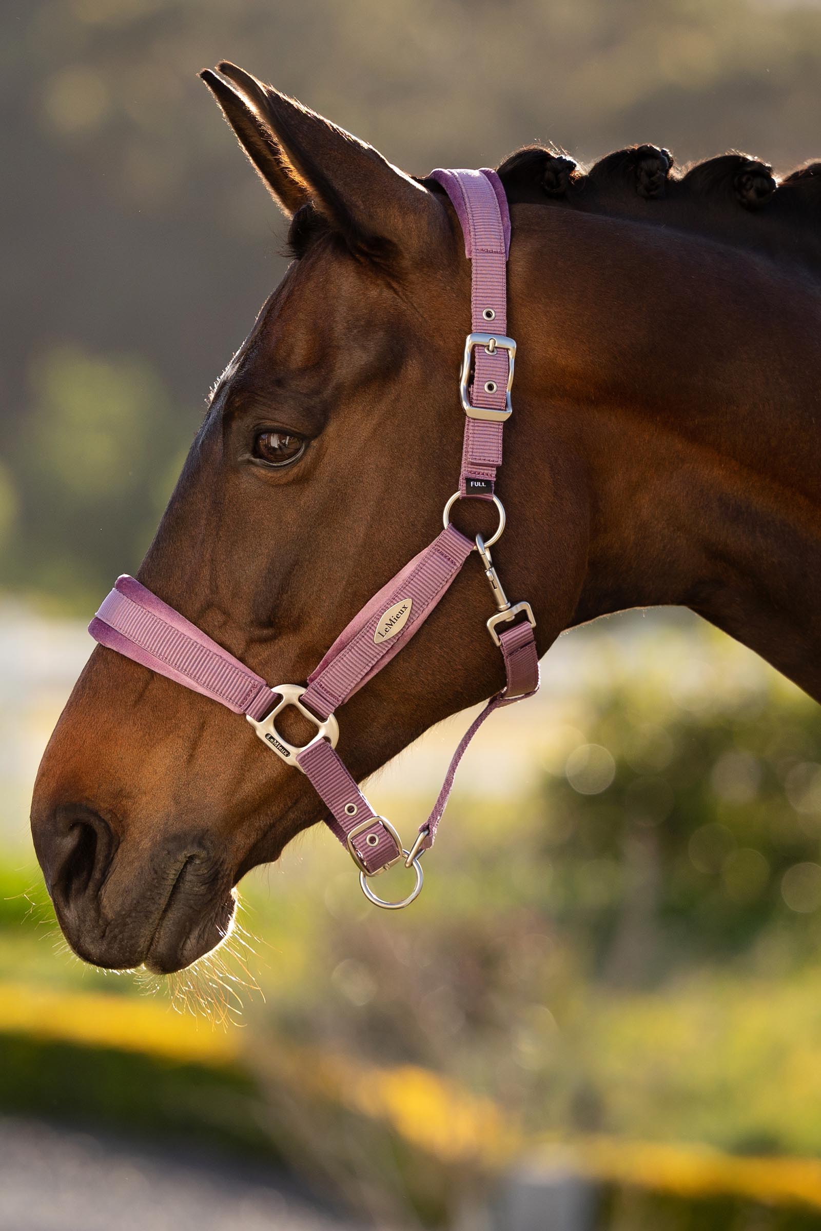 LeMieux Versailles Headcollar