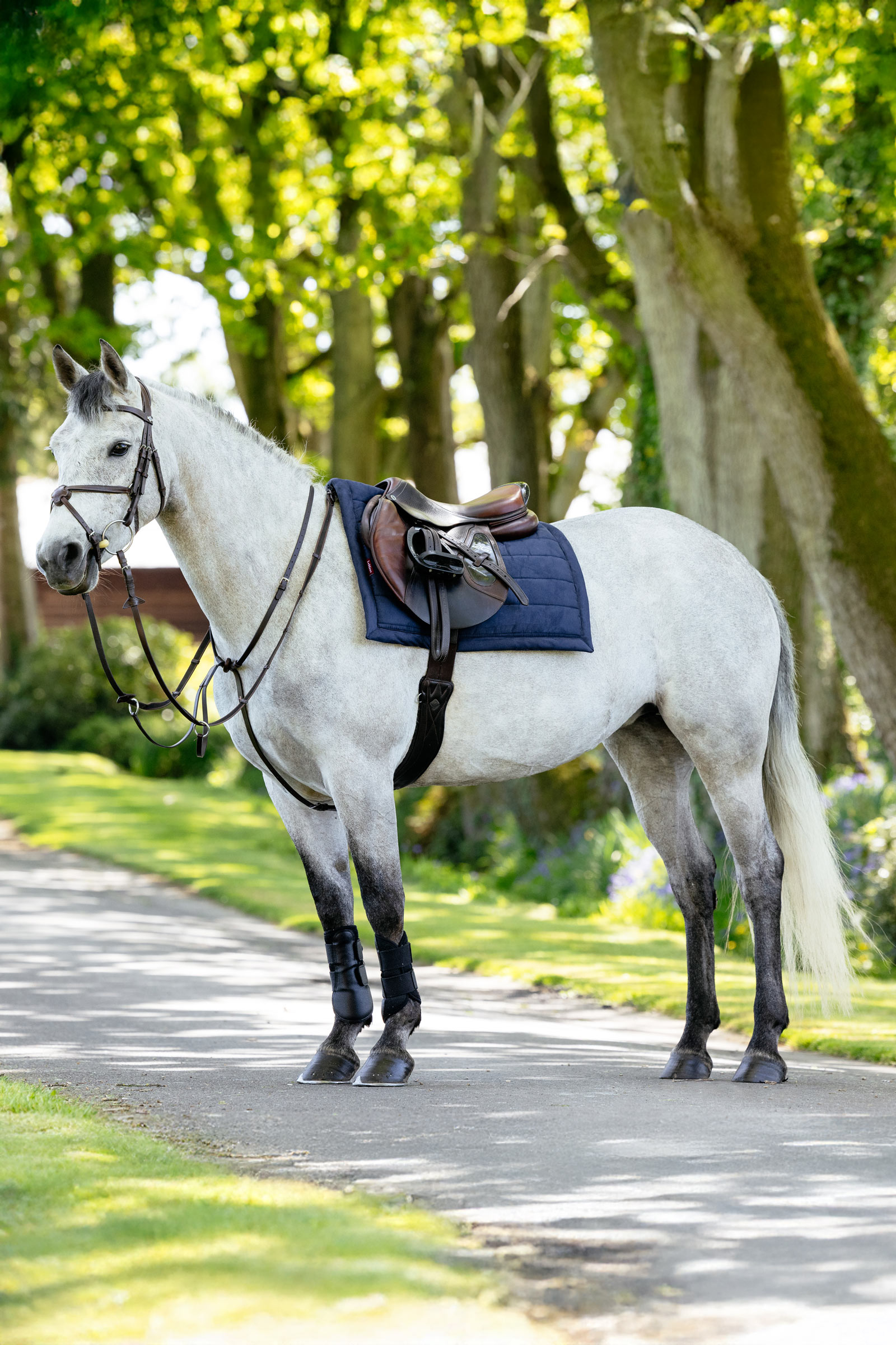 LeMieux Pillow Cushioned All Purpose Saddle Pad