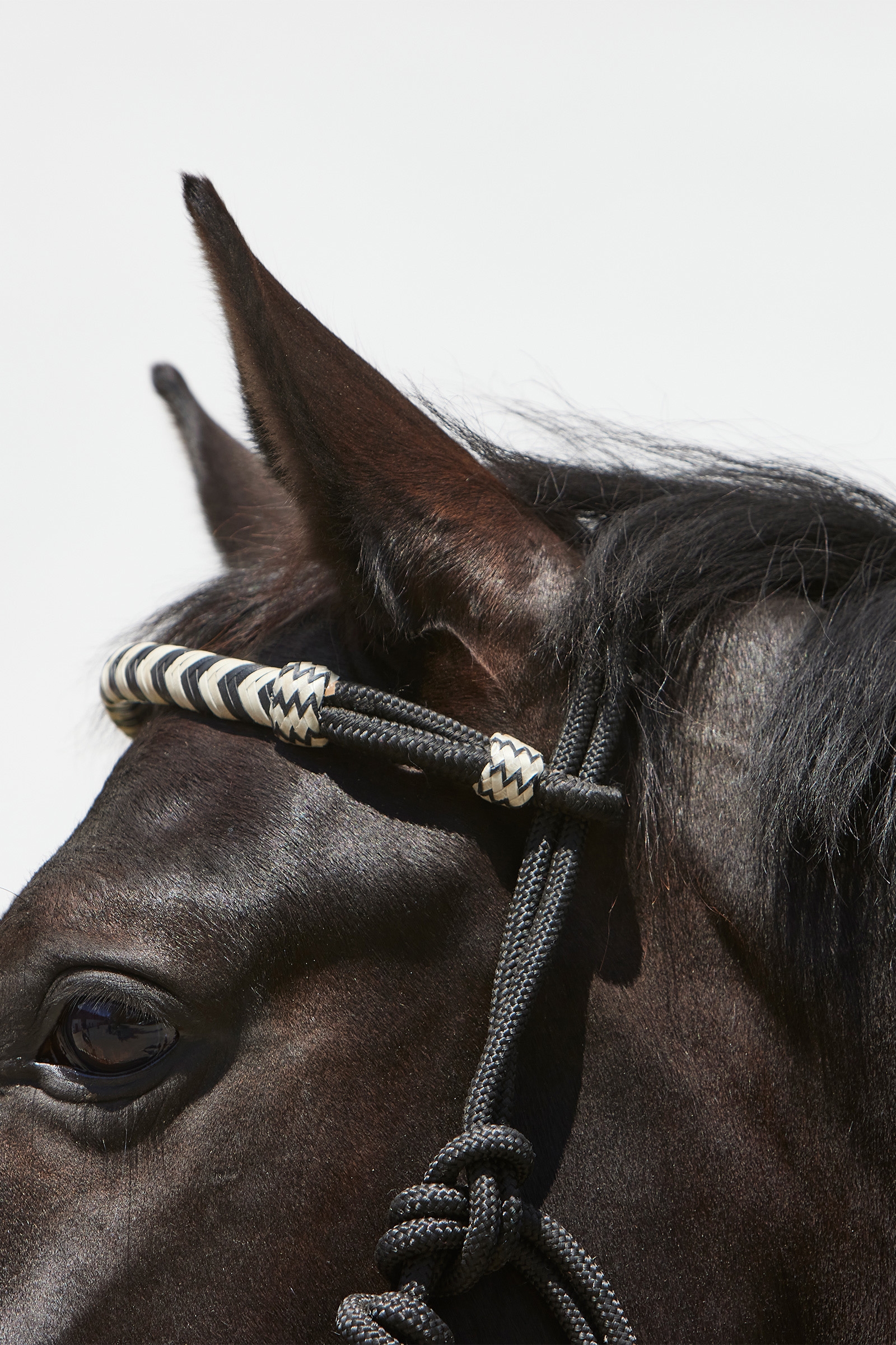 Kieffer Enya Rope Halter