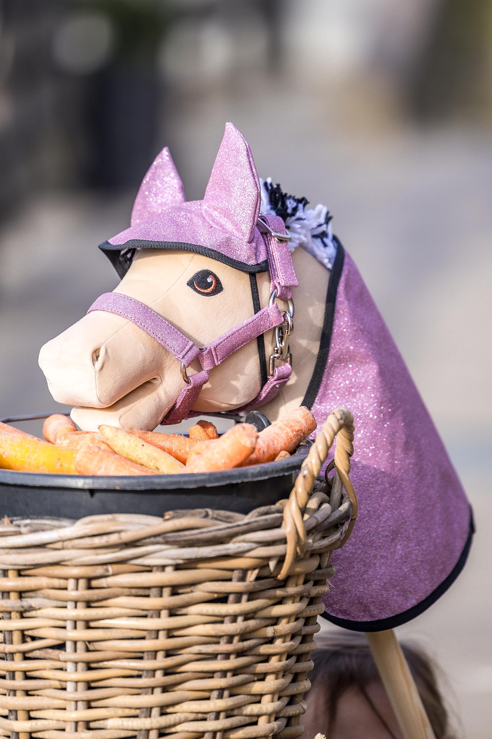 My Hobby Horse Rug & Fly Veil