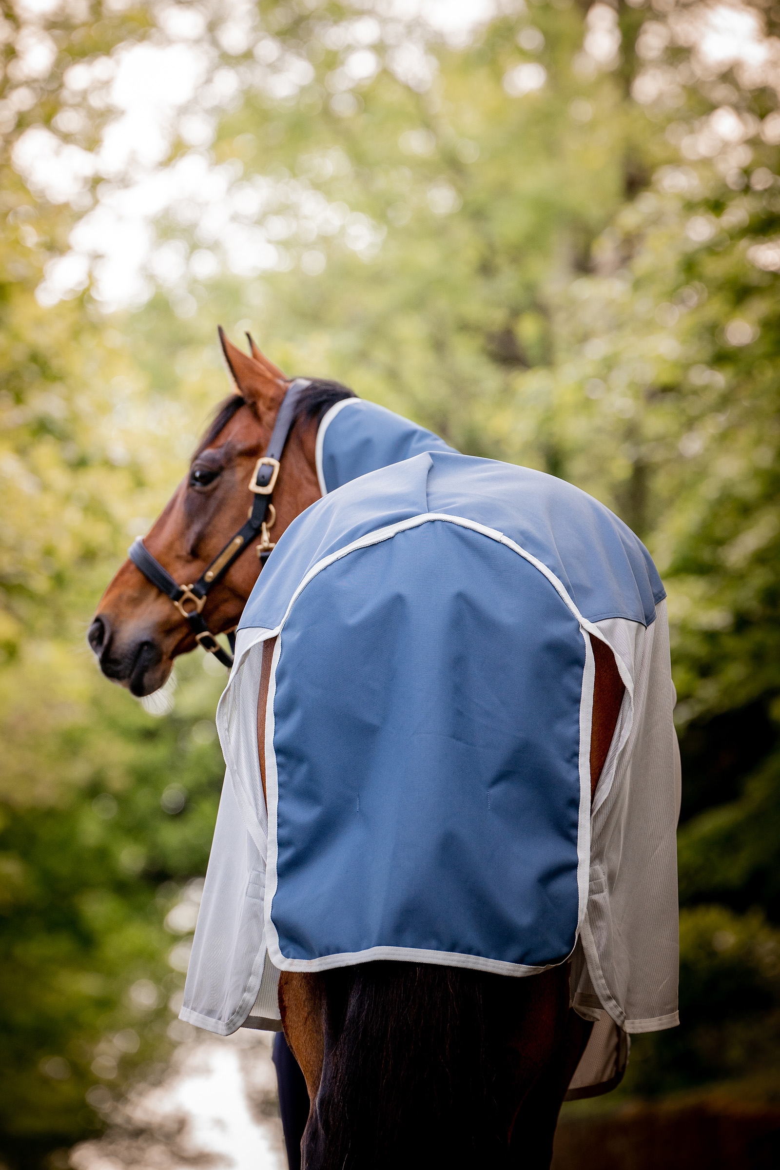 Horseware Amigo AmEco Combi Fly Rug