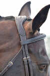 Collegiate Comfitec Opulux Fancy Stitch Padded Hanoverian Bridle