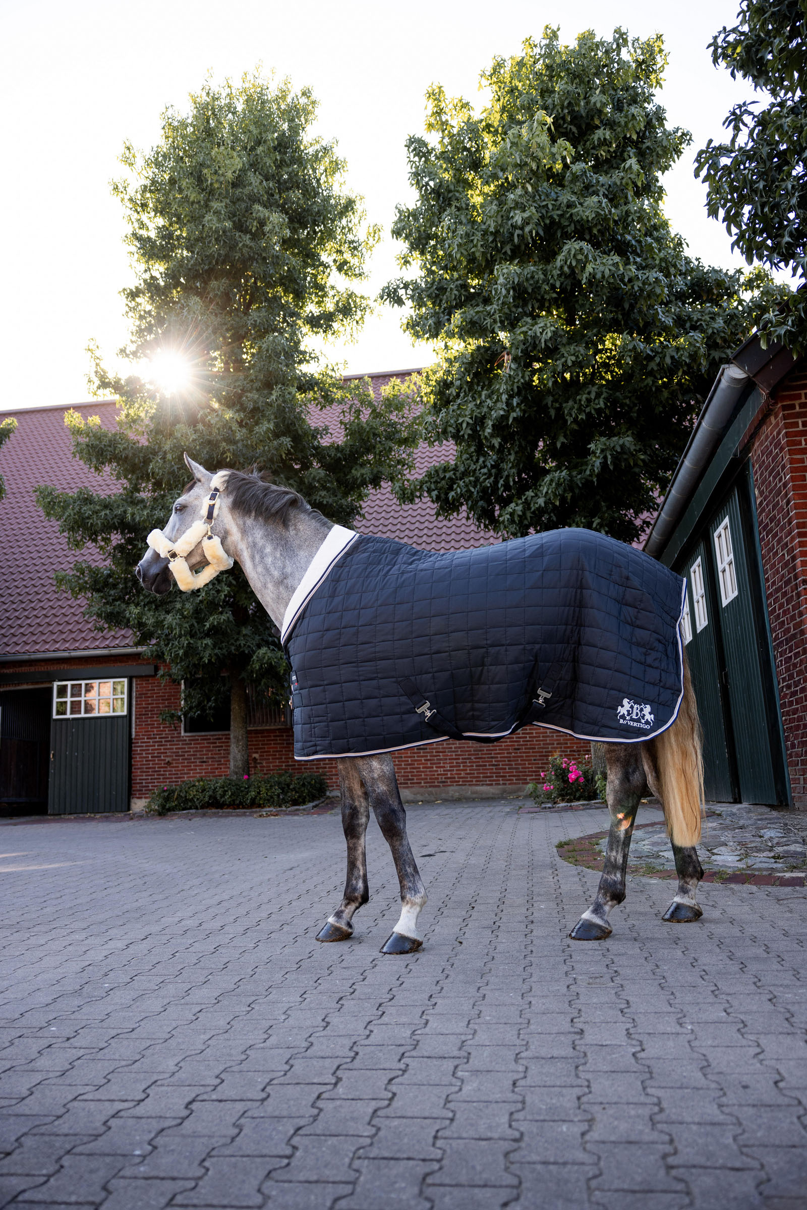 B Vertigo Theo Stable Rug, 150g