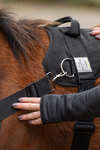 Kavalkade Foalmaster Foal Harness With Handle