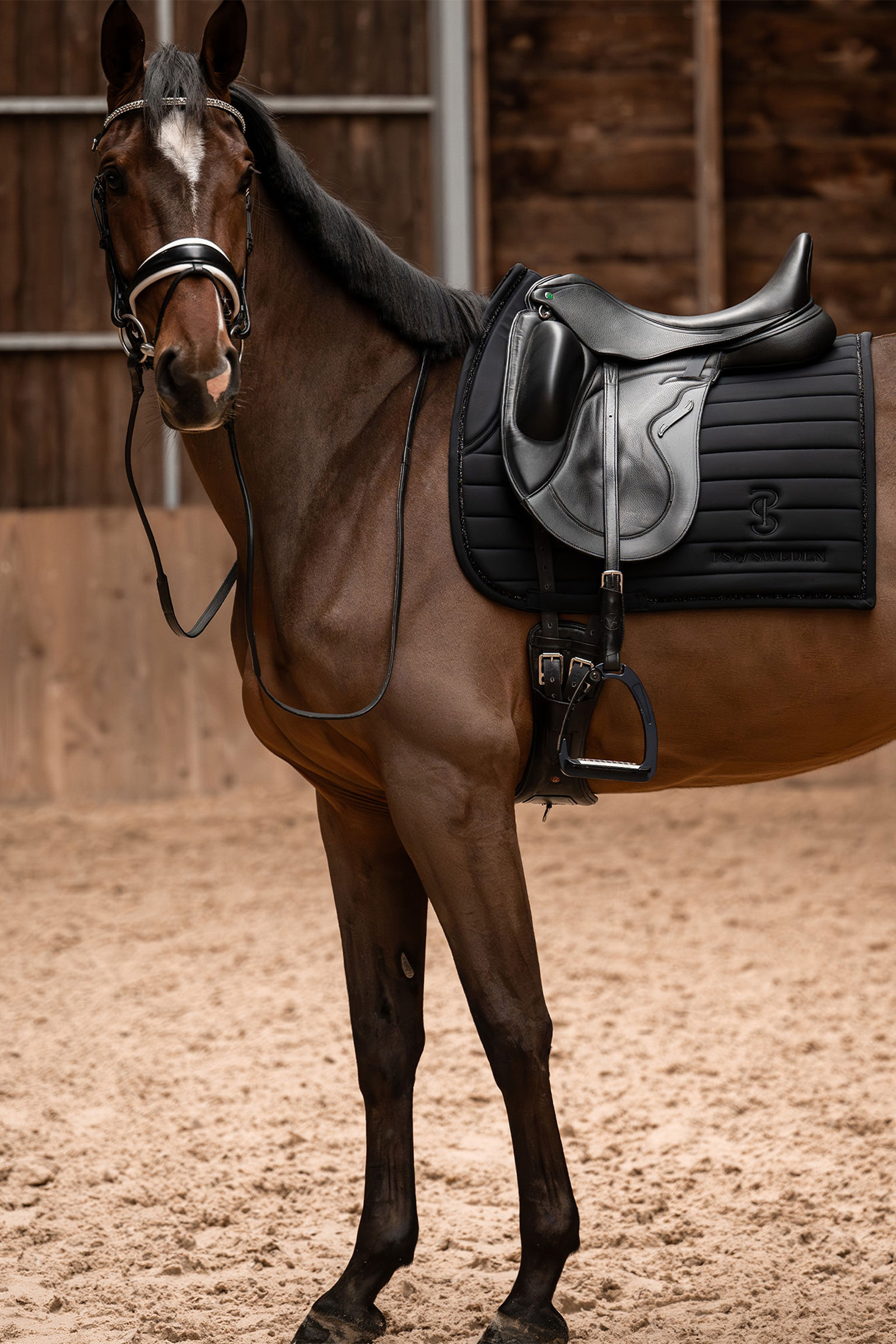 PS of Sweden Stripe Dressage Saddle Pad
