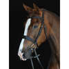 Collegiate Mono Crown Padded Raised Cavesson Bridle