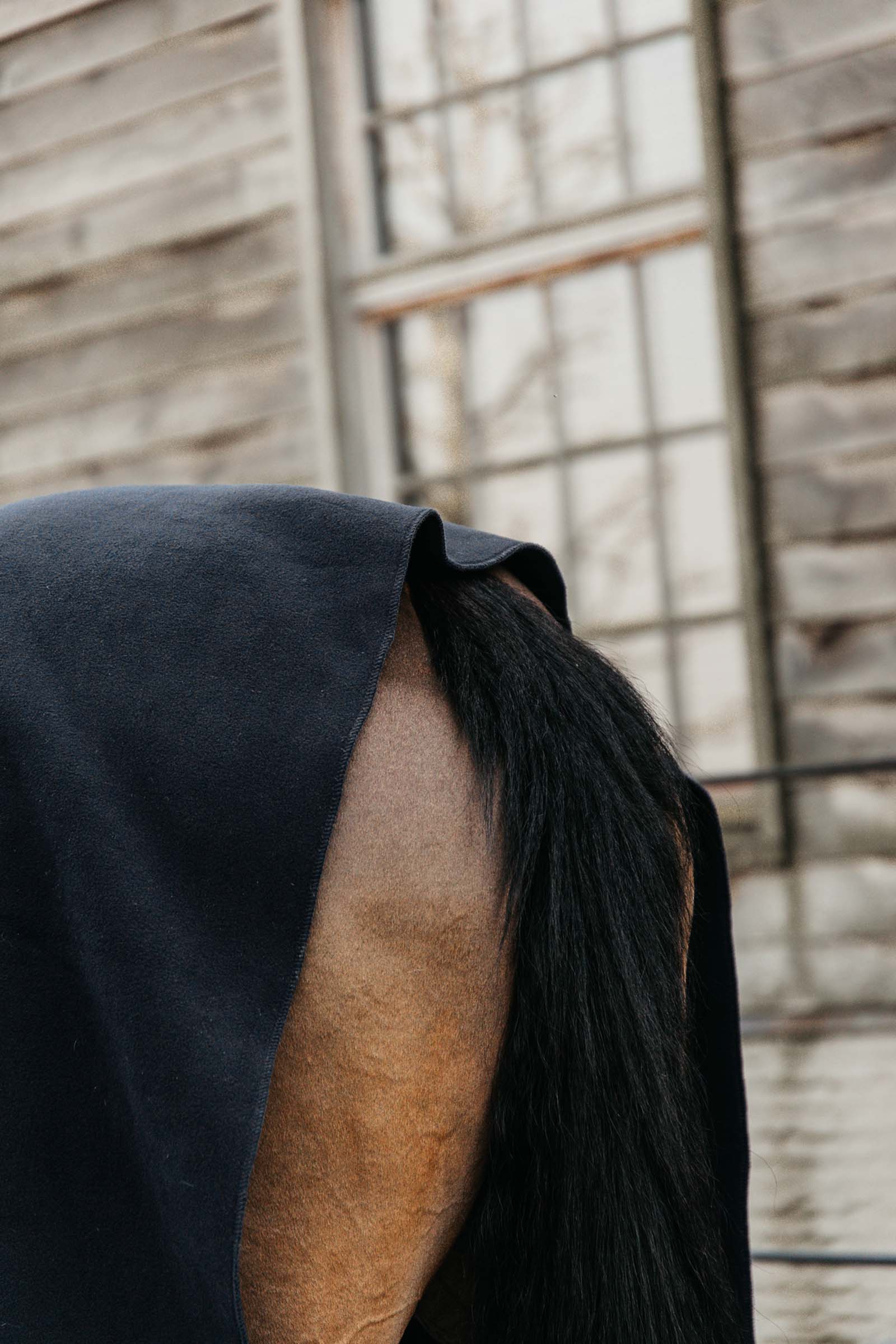 Kentucky Horsewear Heavy Fleece Rug