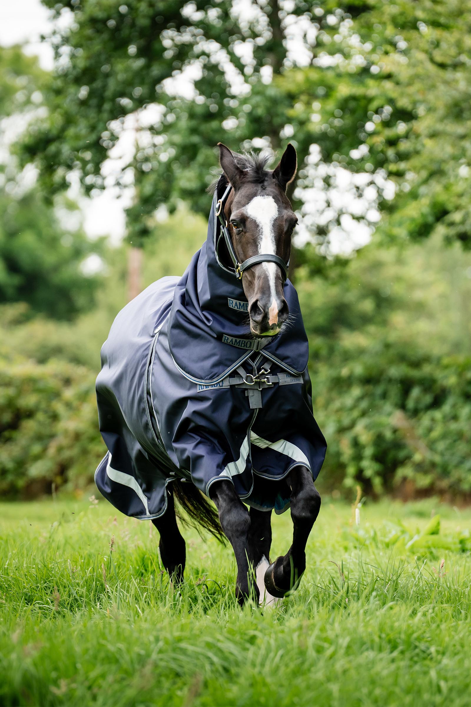Horseware Rambo Optimo Plus Turnout Bundle (0g + 200g)