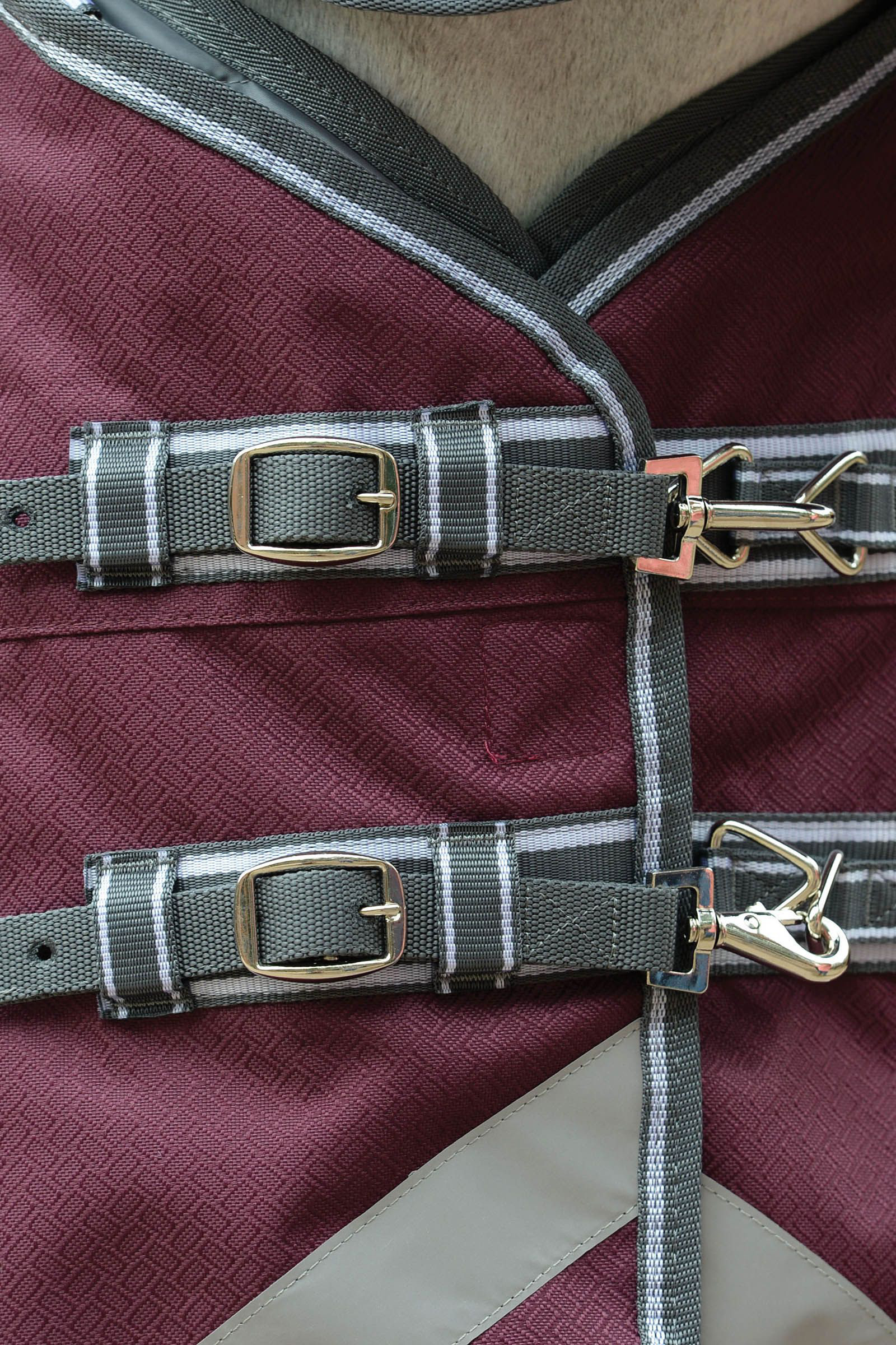 Weatherbeeta Comfitec Plus Dynamic II Combo Neck Turnout Rug, 220g