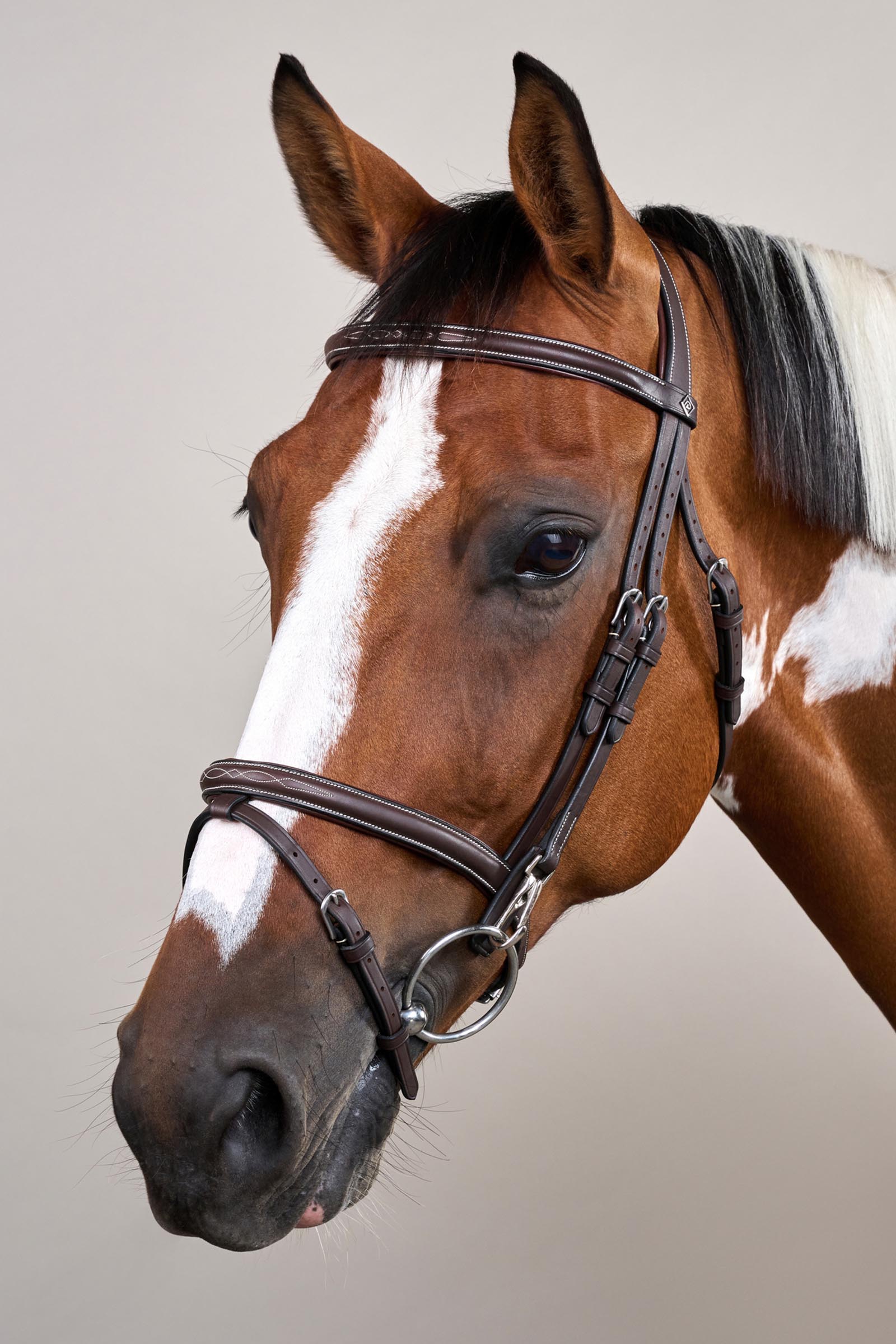 Dy'on Working Flash Noseband Bridle With Snaps
