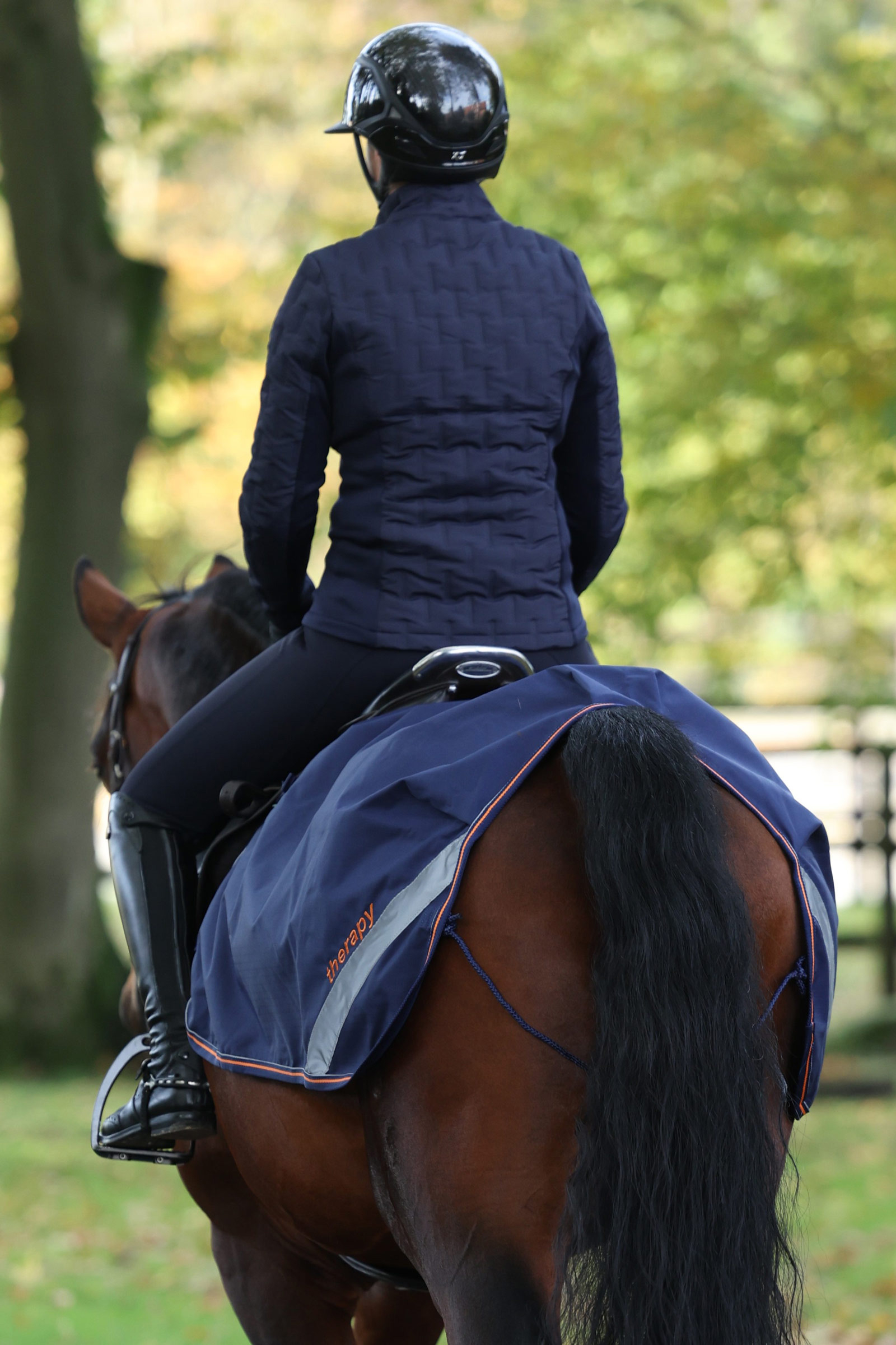 Bucas Therapy Quarter Sheet