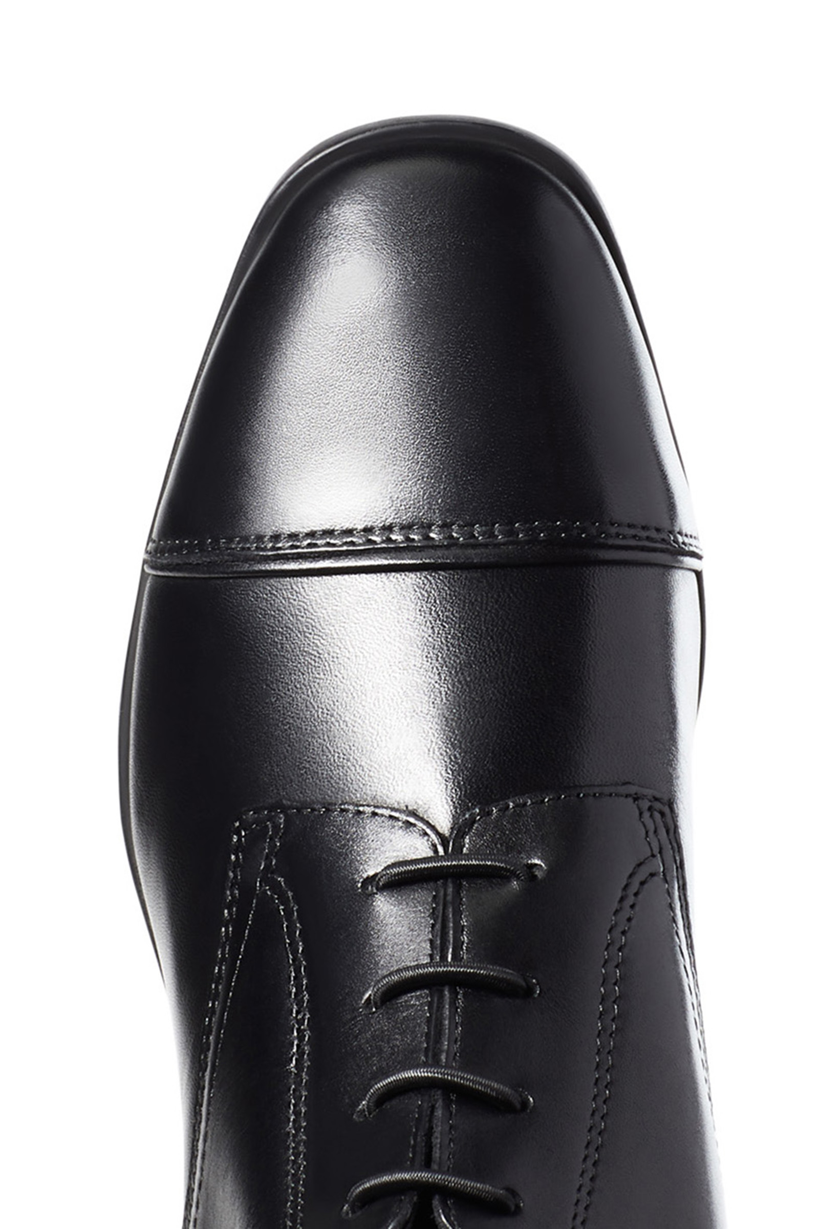 Ariat Palisade Women's Tall Riding Boots