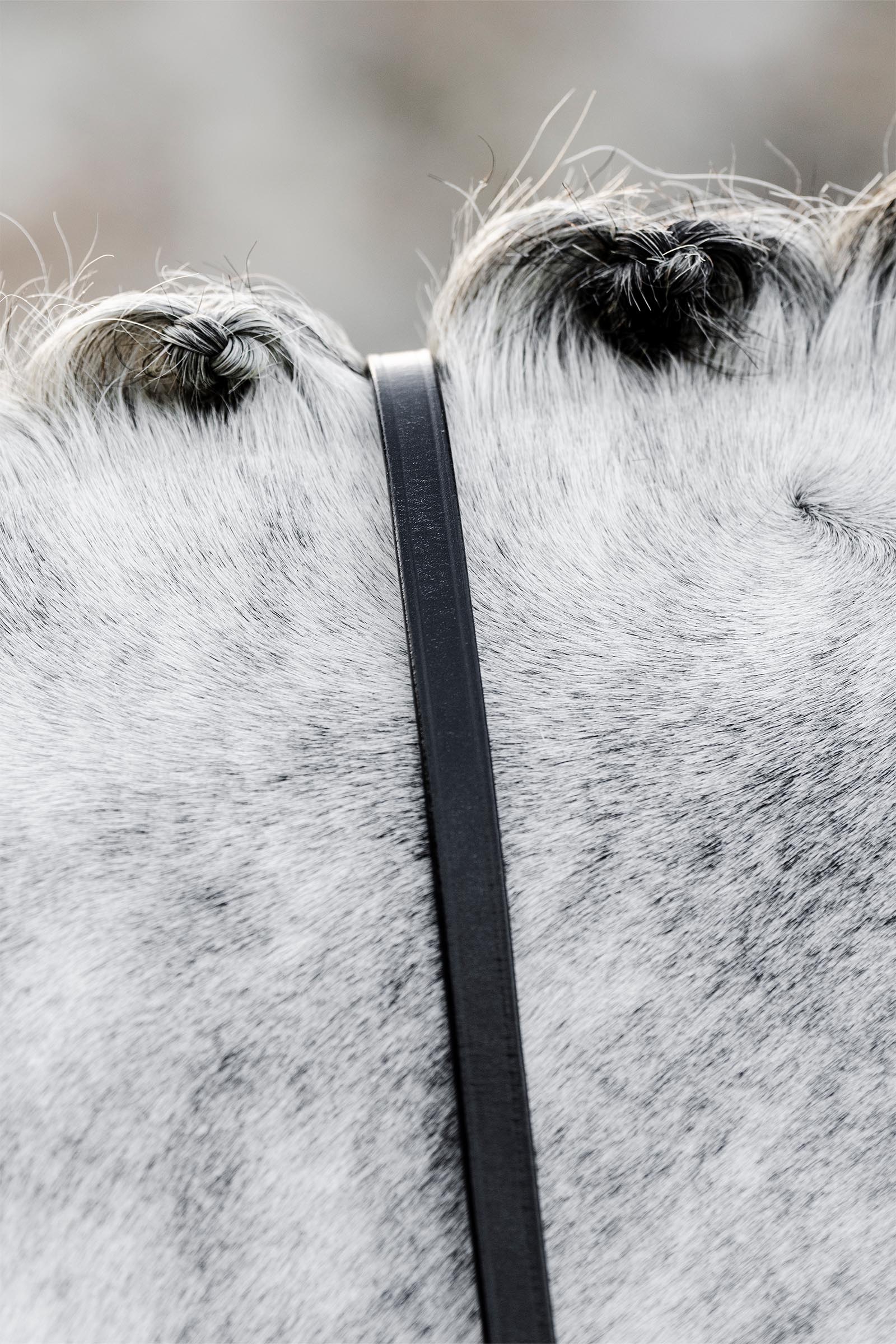 Horseware Curb Reins