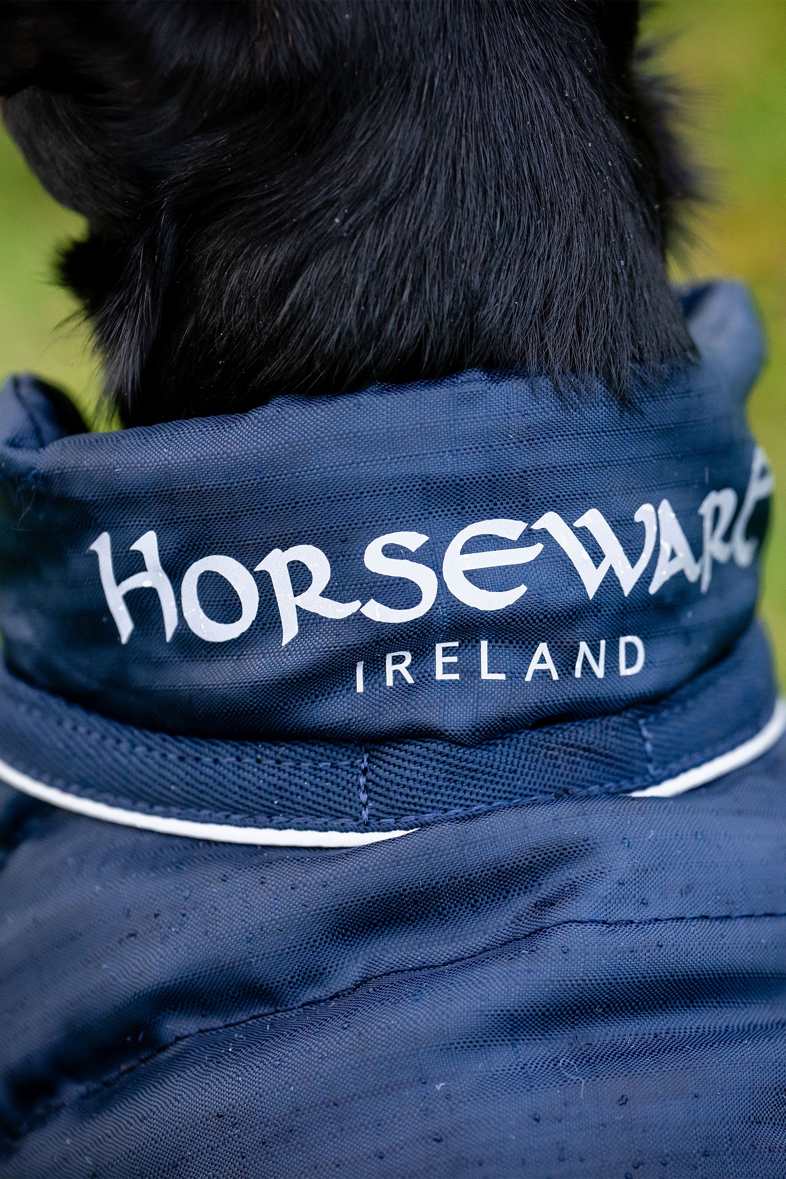 Horseware Signature Dog Rain Coat