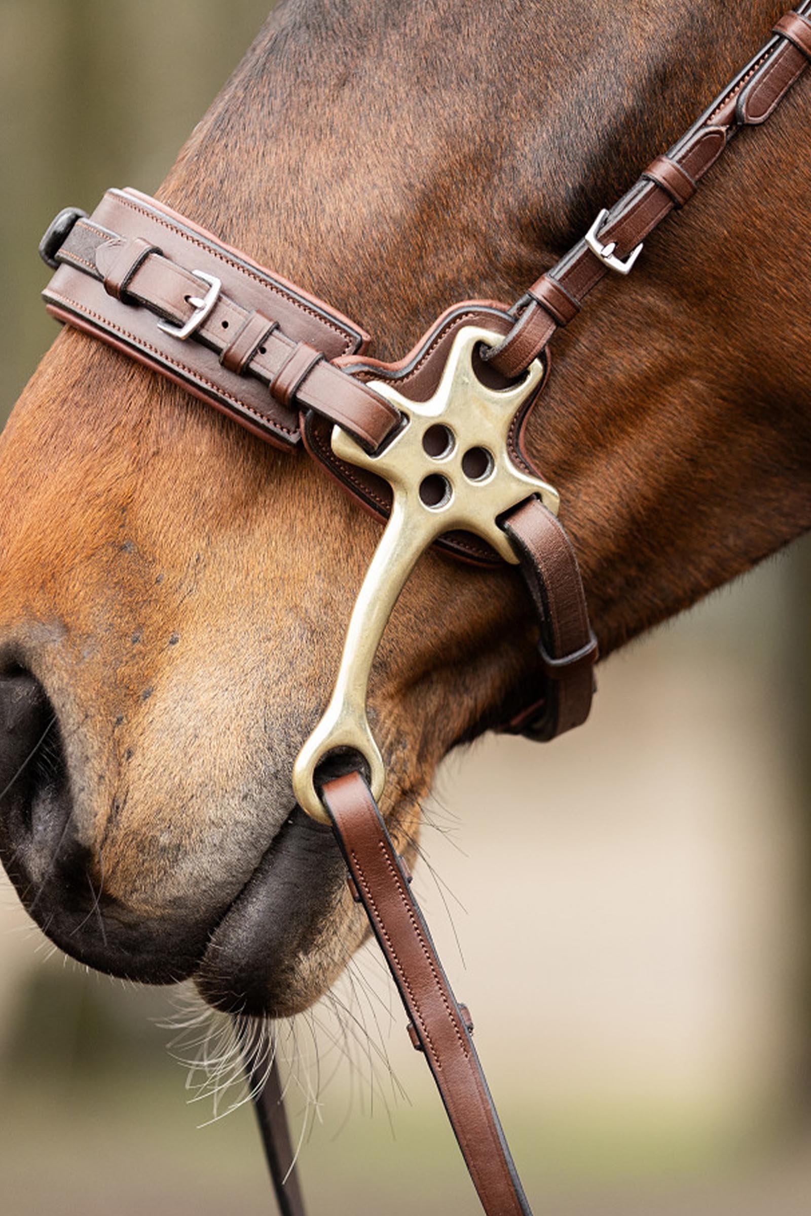 Trust Equestrian Hackamore Noseband with Cheeks 16 Cm