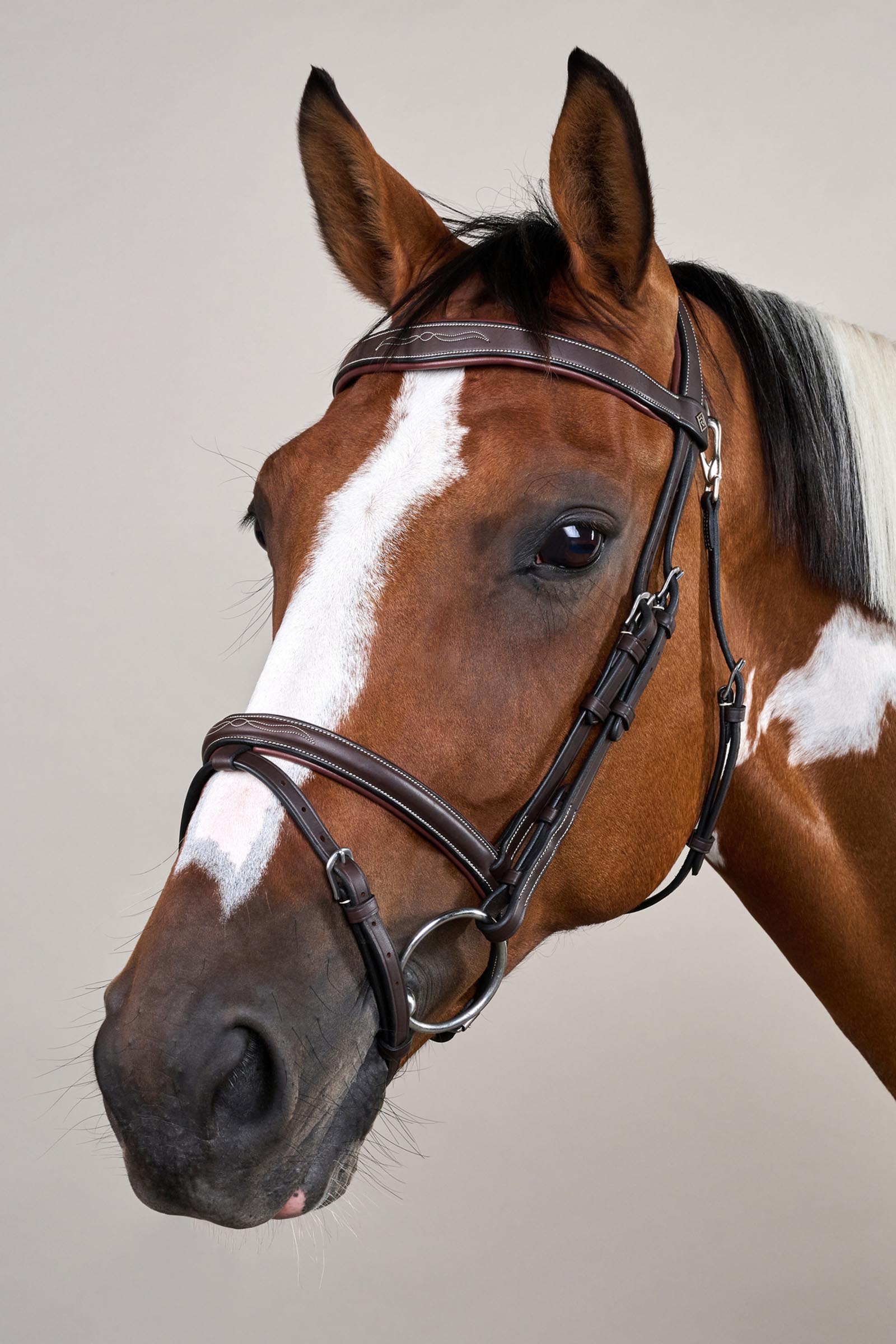 Dy'on Working Flash Noseband Bridle With Snap Hooks