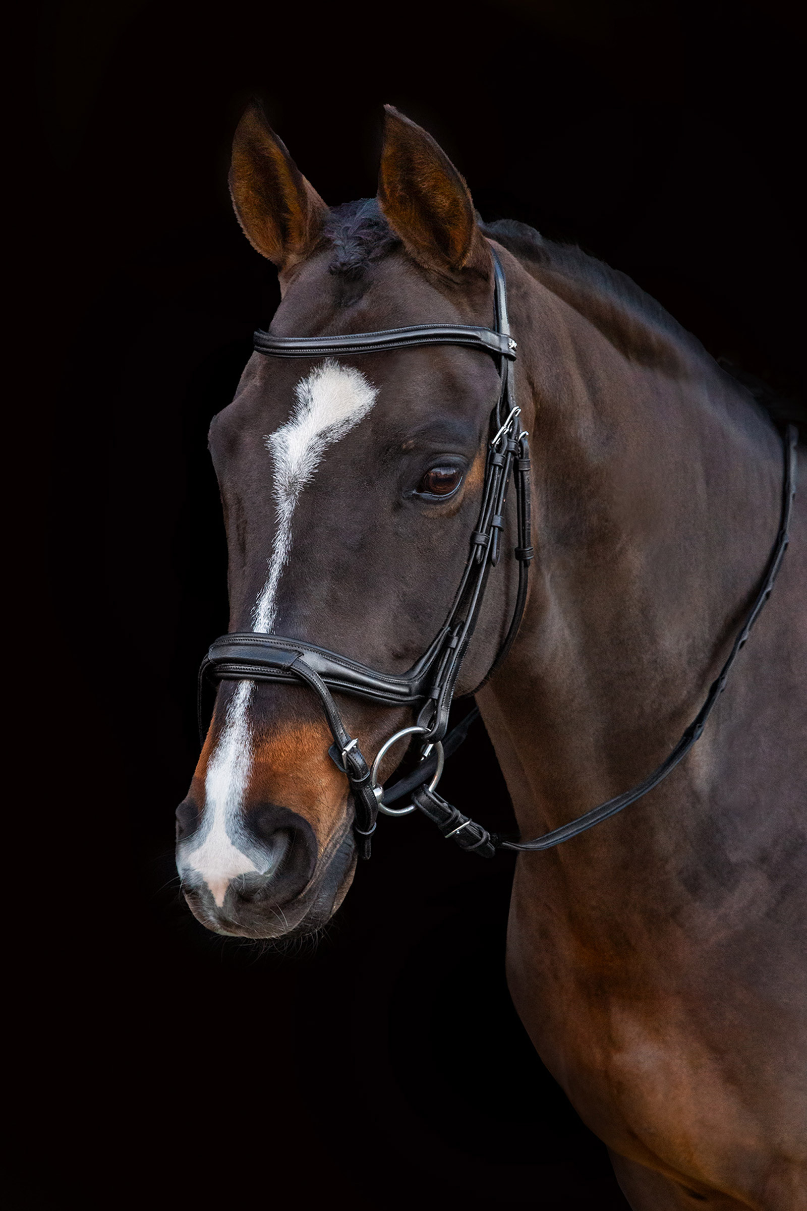 Schockem&ouml;hle Sports Ancona Select Bridle