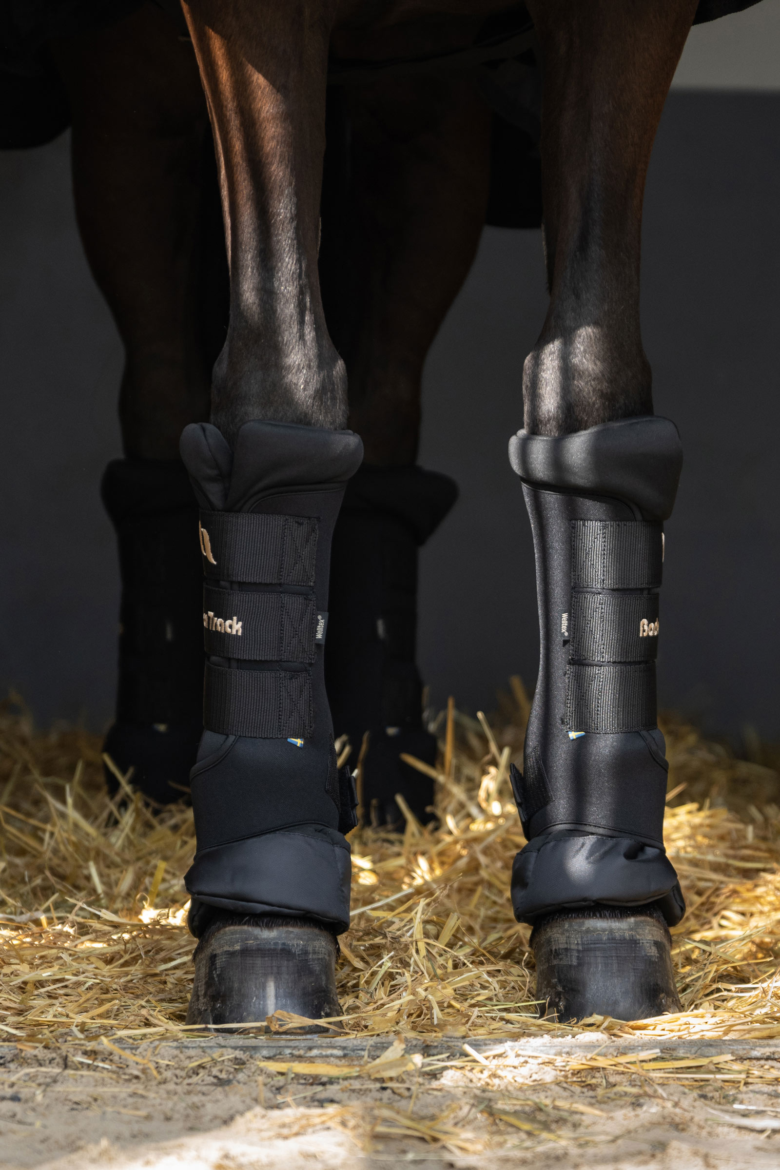 Back On Track Quick Royal Leg Wraps