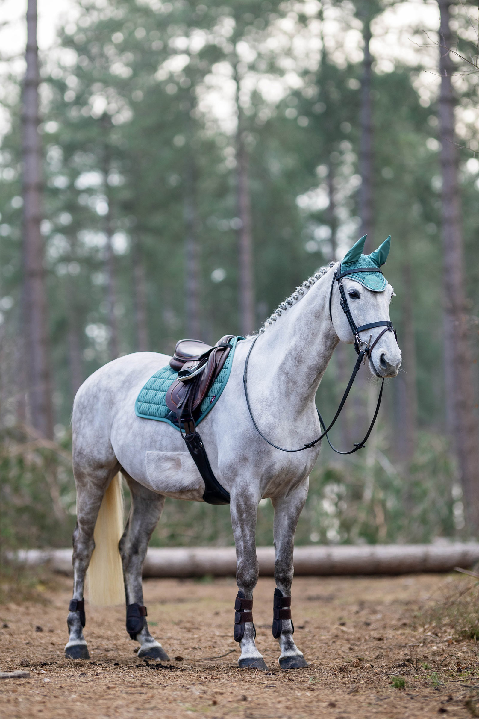 LeMieux Classic Fly Hood