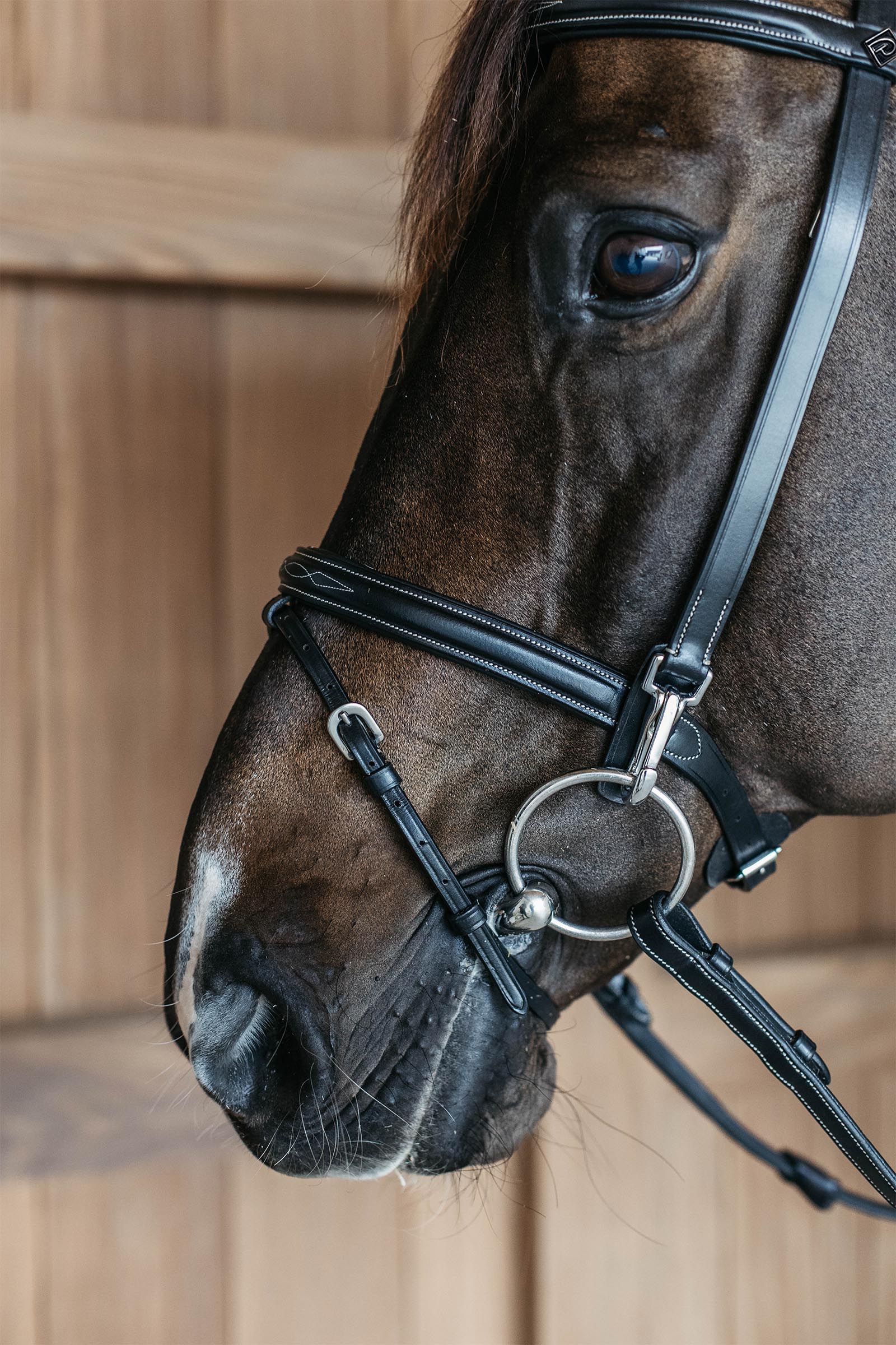 Dy'on  Working Training Bridle