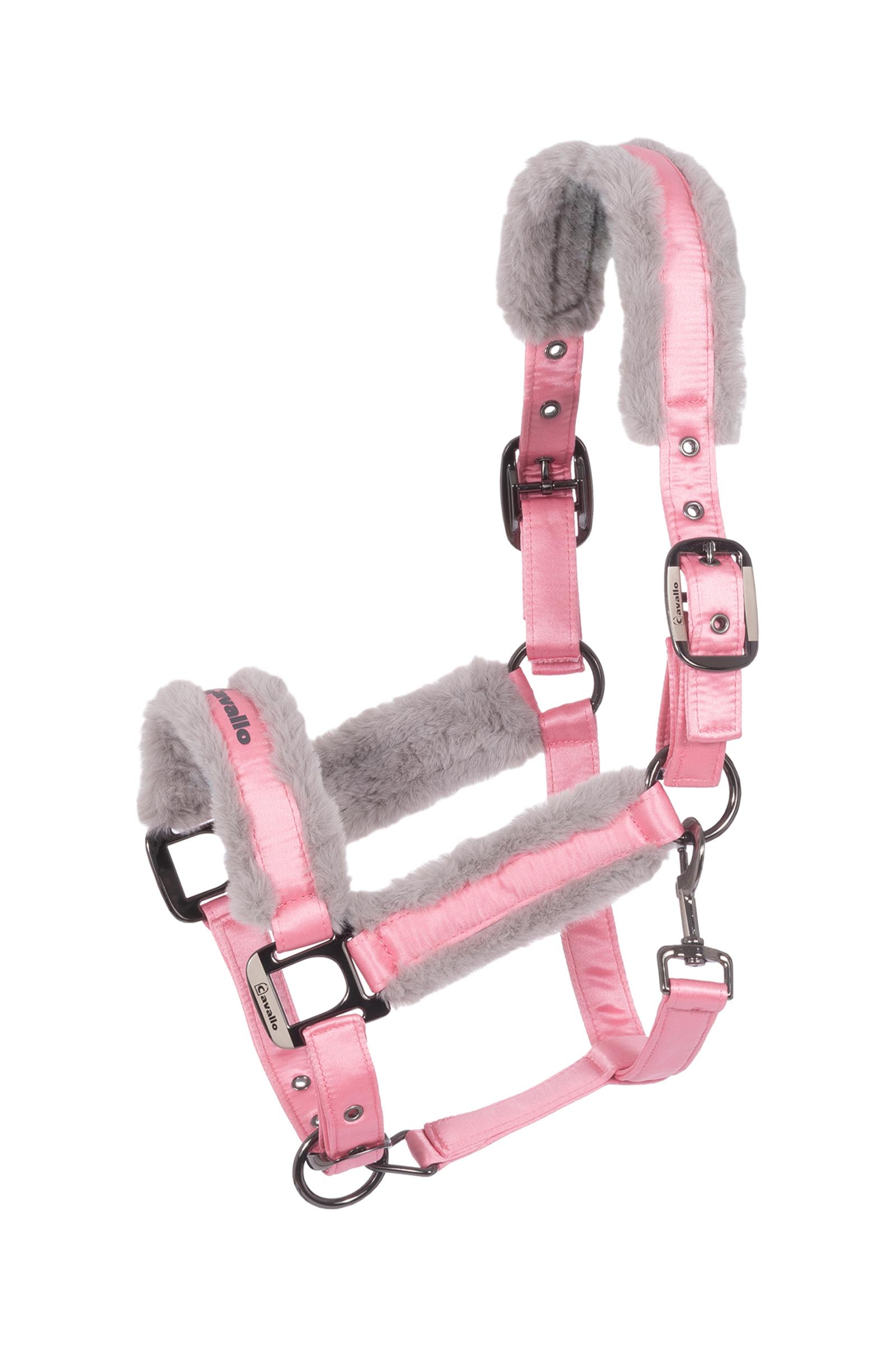 Powder Pink Cavallo CAVALJERO Halter
